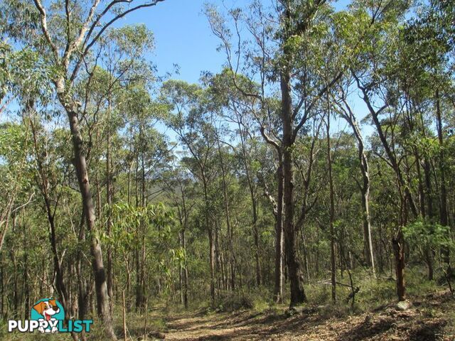 Lots 6 7 8 Dwyers Creek Road MORUYA NSW 2537