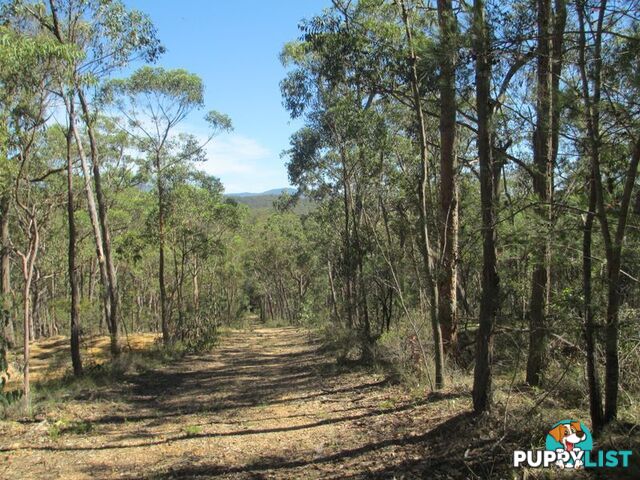 Lots 6 7 8 Dwyers Creek Road MORUYA NSW 2537