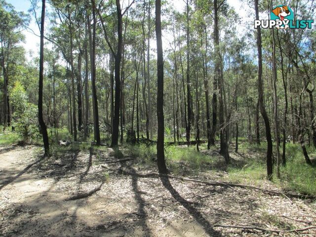 Lots 6 7 8 Dwyers Creek Road MORUYA NSW 2537