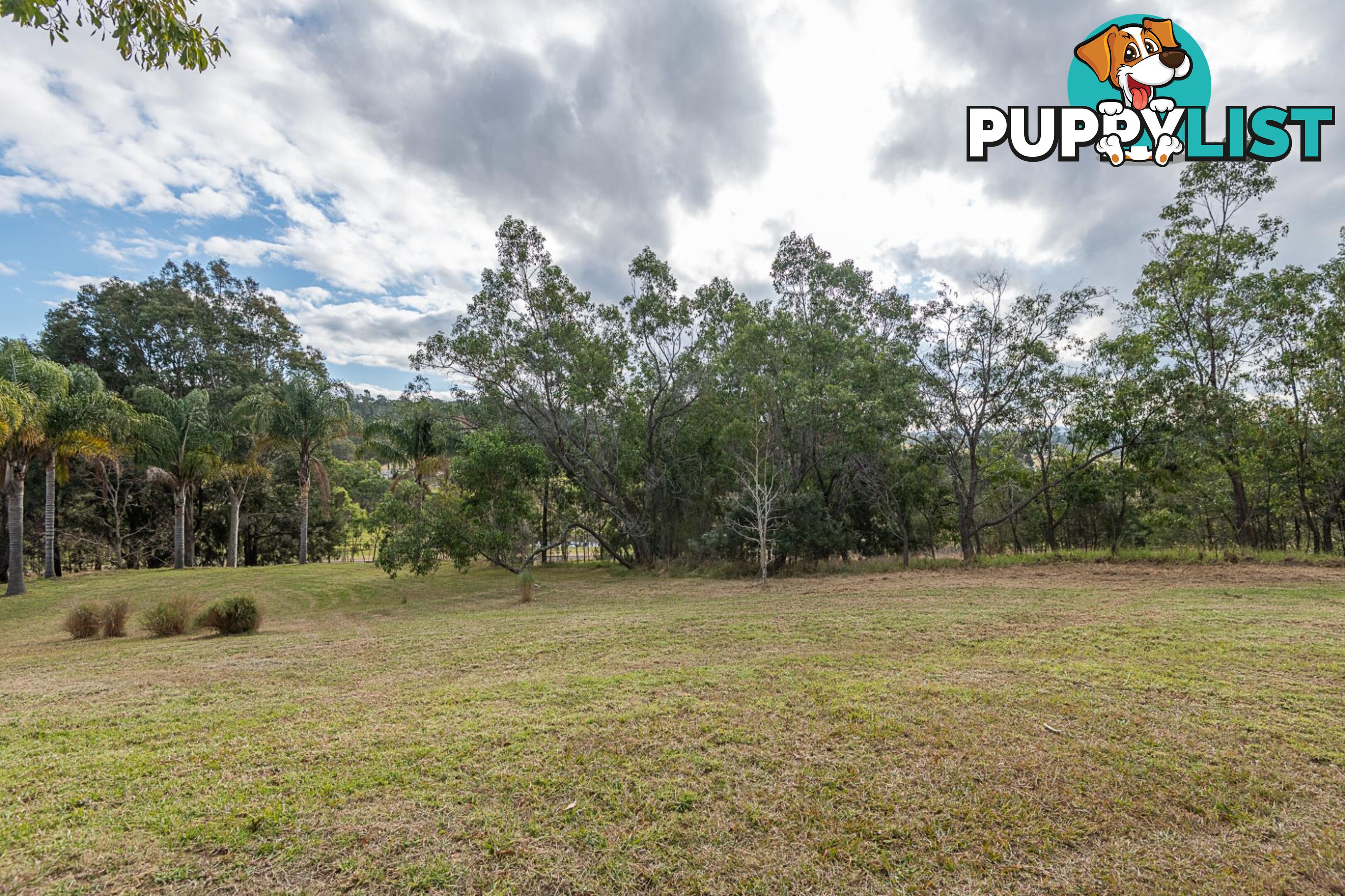 147 Dwyers Creek Road MORUYA NSW 2537