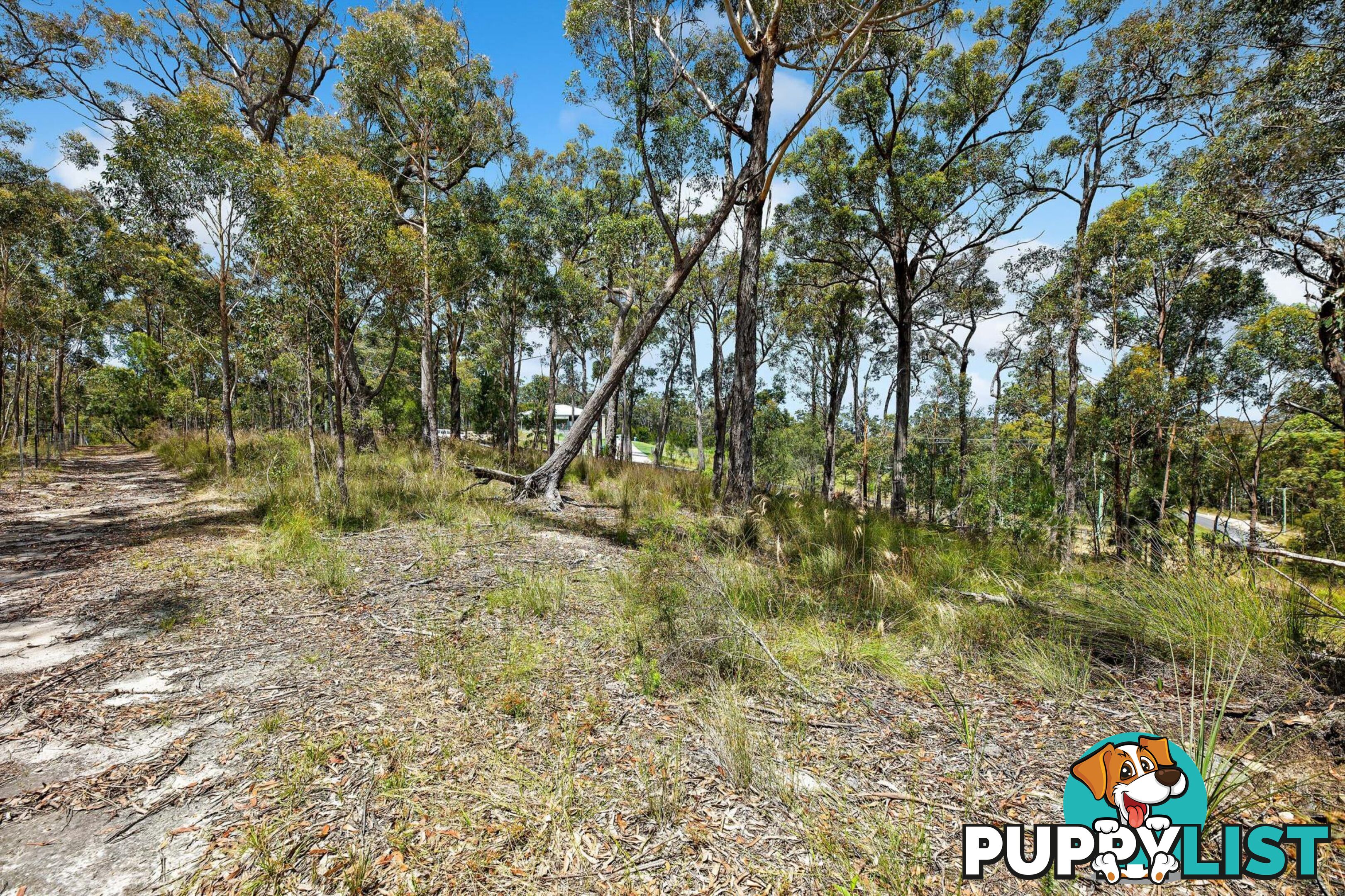 19 Collett Place MERINGO NSW 2537