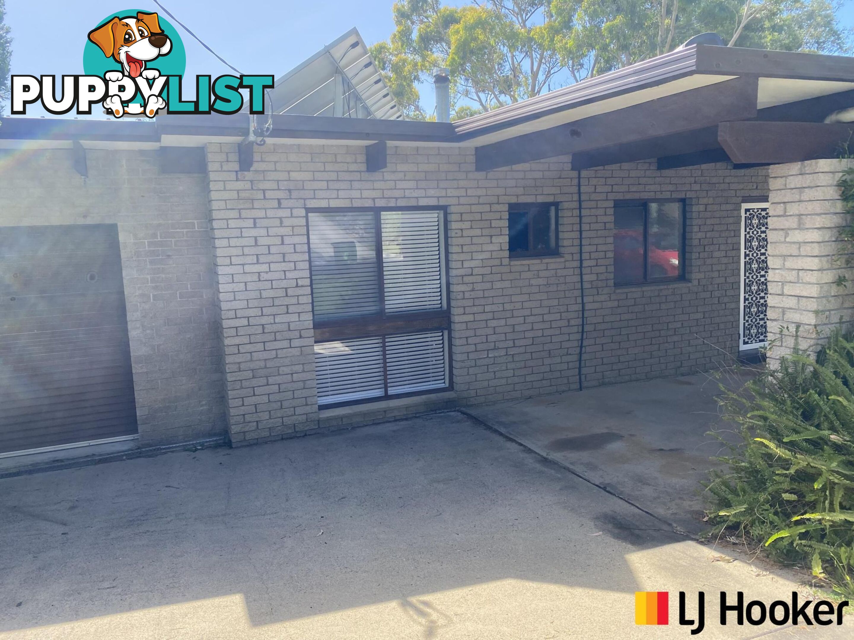 84 Coogee Street TUROSS HEAD NSW 2537