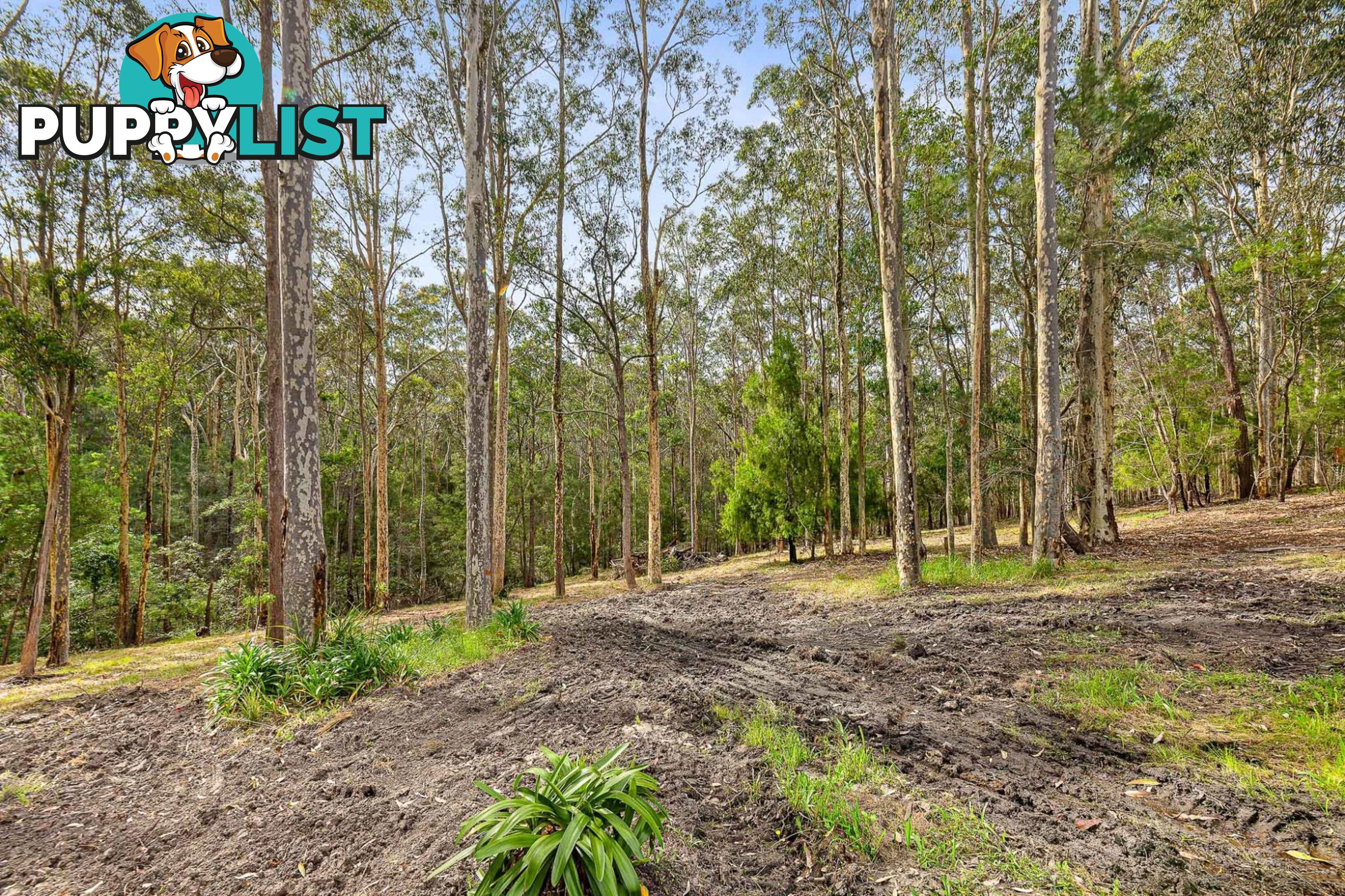 210-212 South Head Road MORUYA HEADS NSW 2537