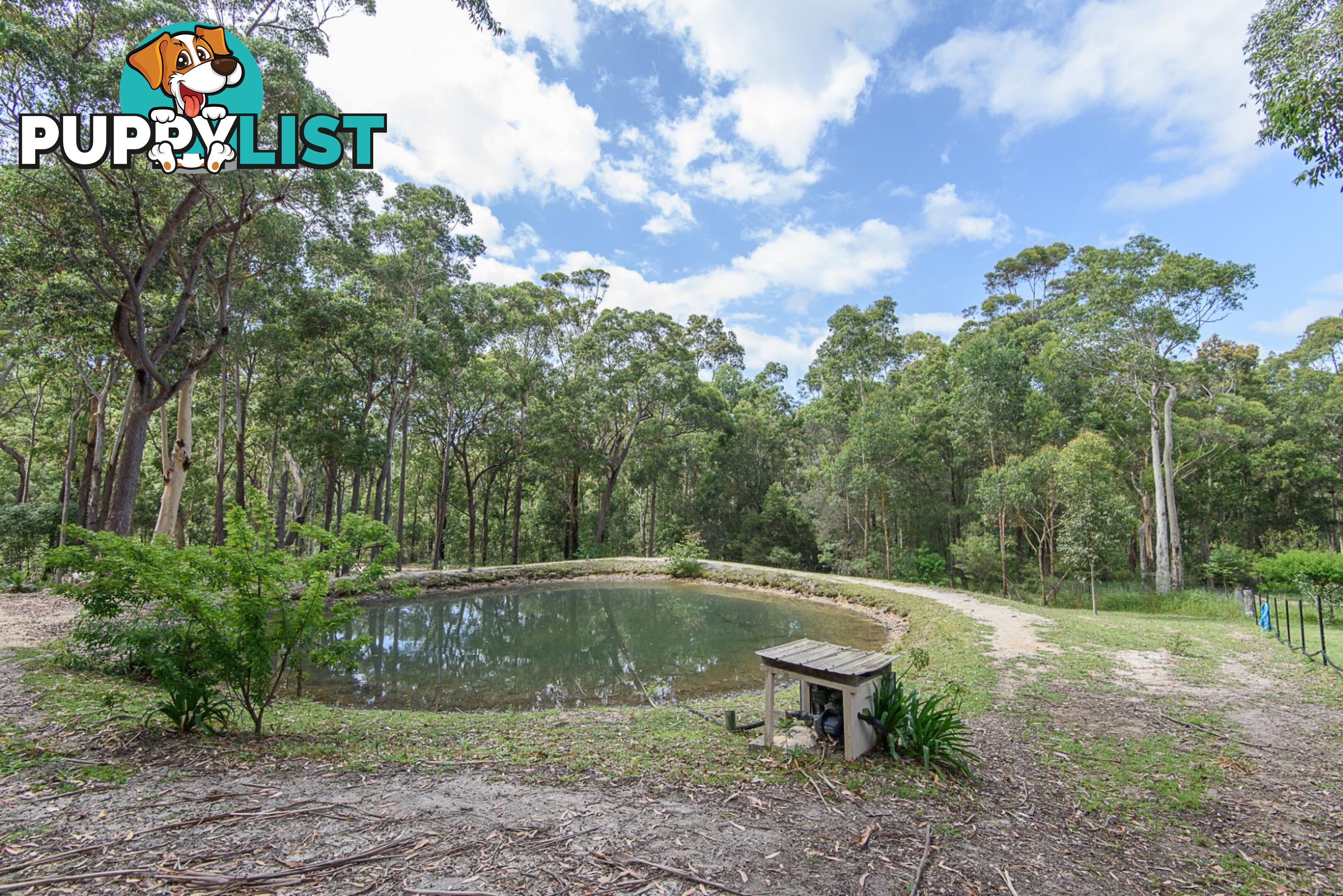 14 Narambi Close MORUYA NSW 2537