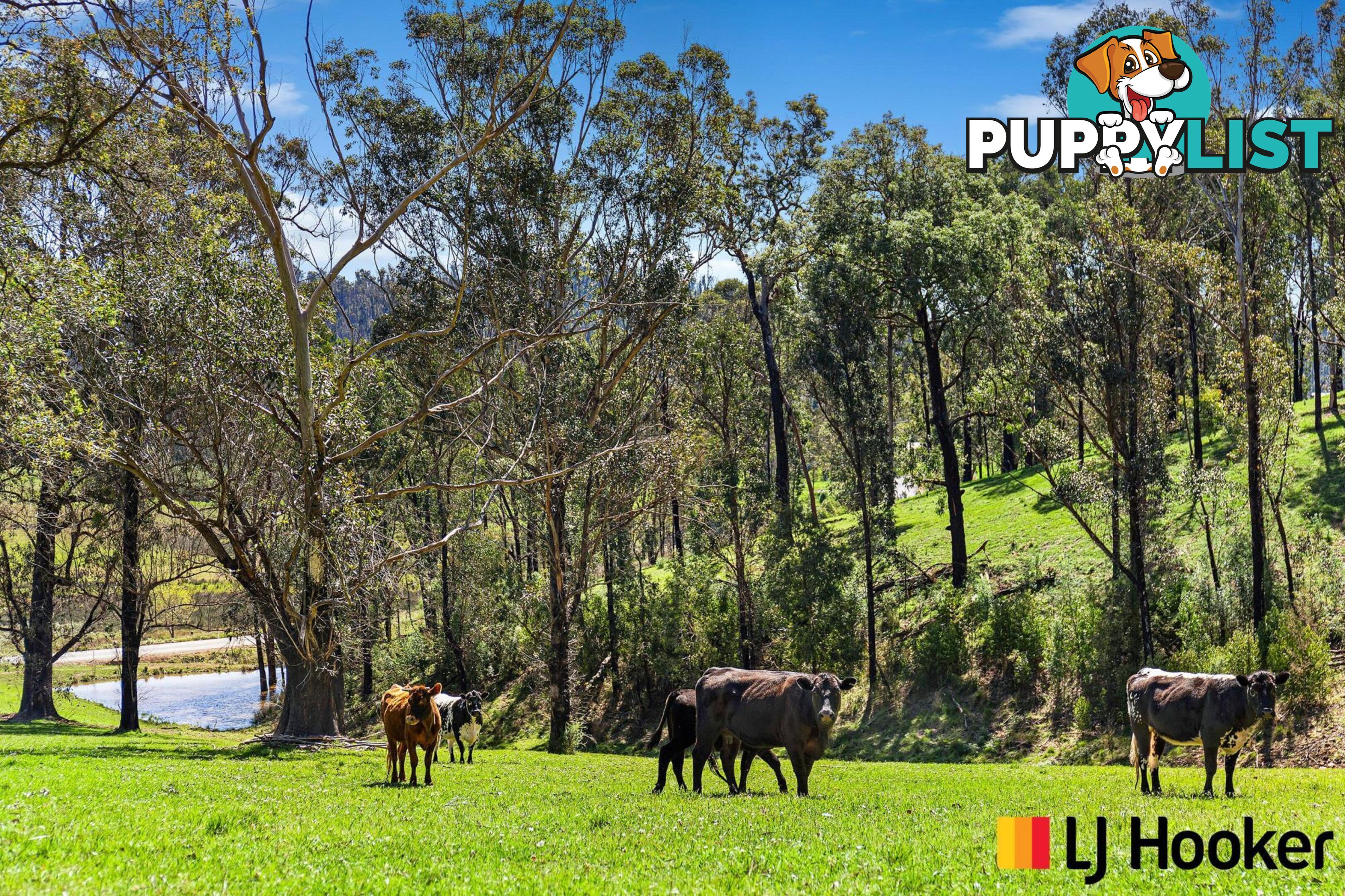 18 Waincourt Road EUROBODALLA NSW 2545