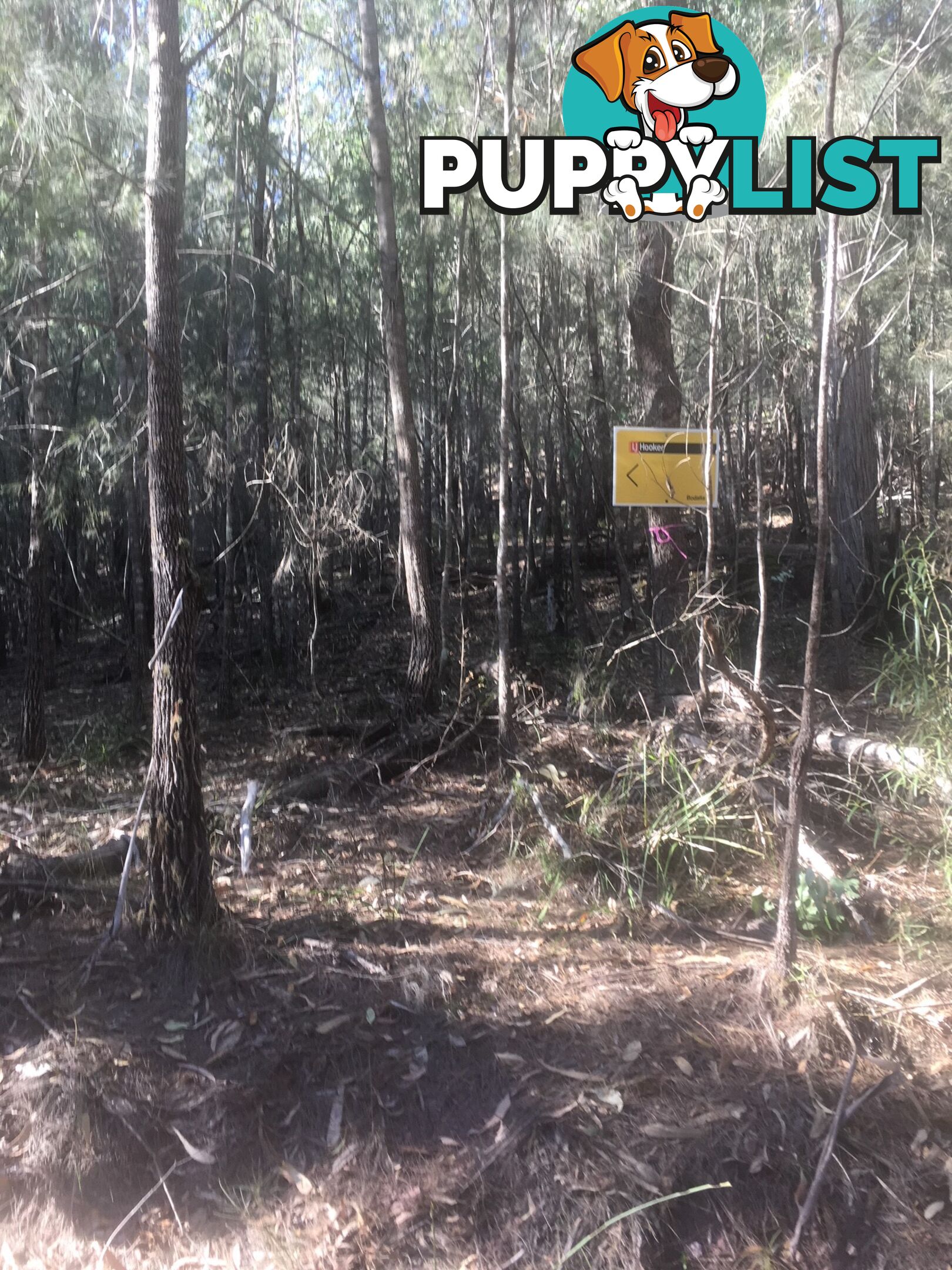 Lot 84 Reedy Creek Road EUROBODALLA NSW 2545