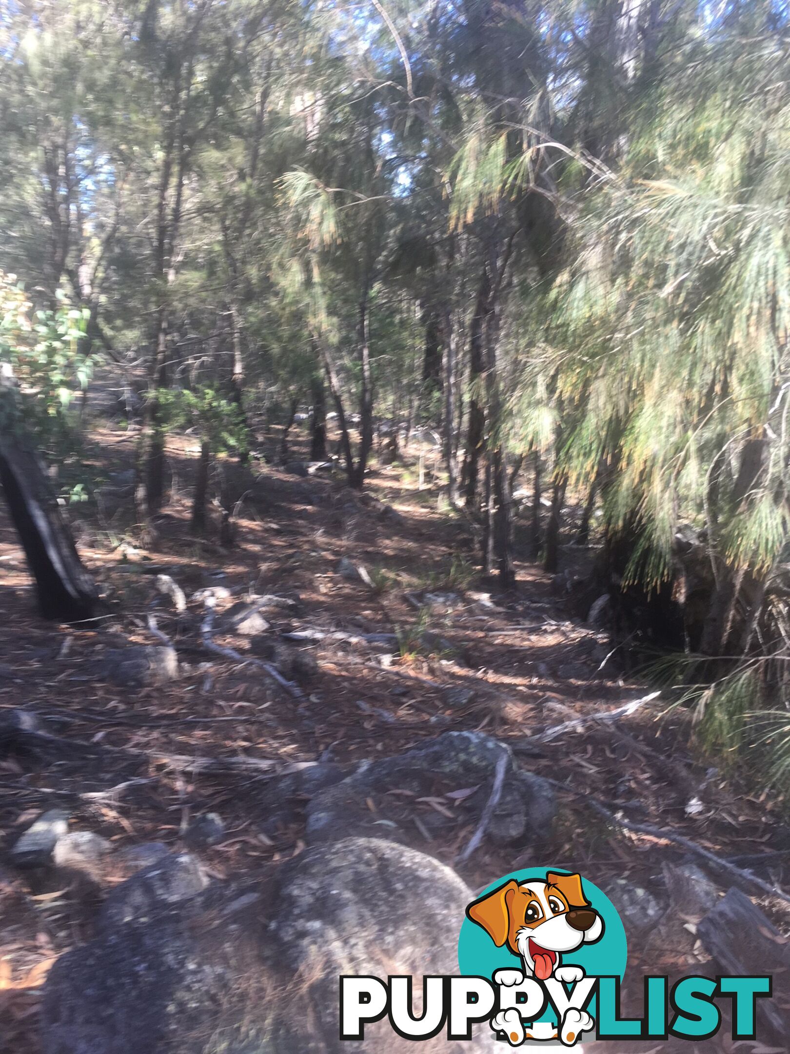 Lot 84 Reedy Creek Road EUROBODALLA NSW 2545