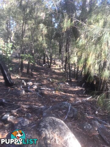 Lot 84 Reedy Creek Road EUROBODALLA NSW 2545