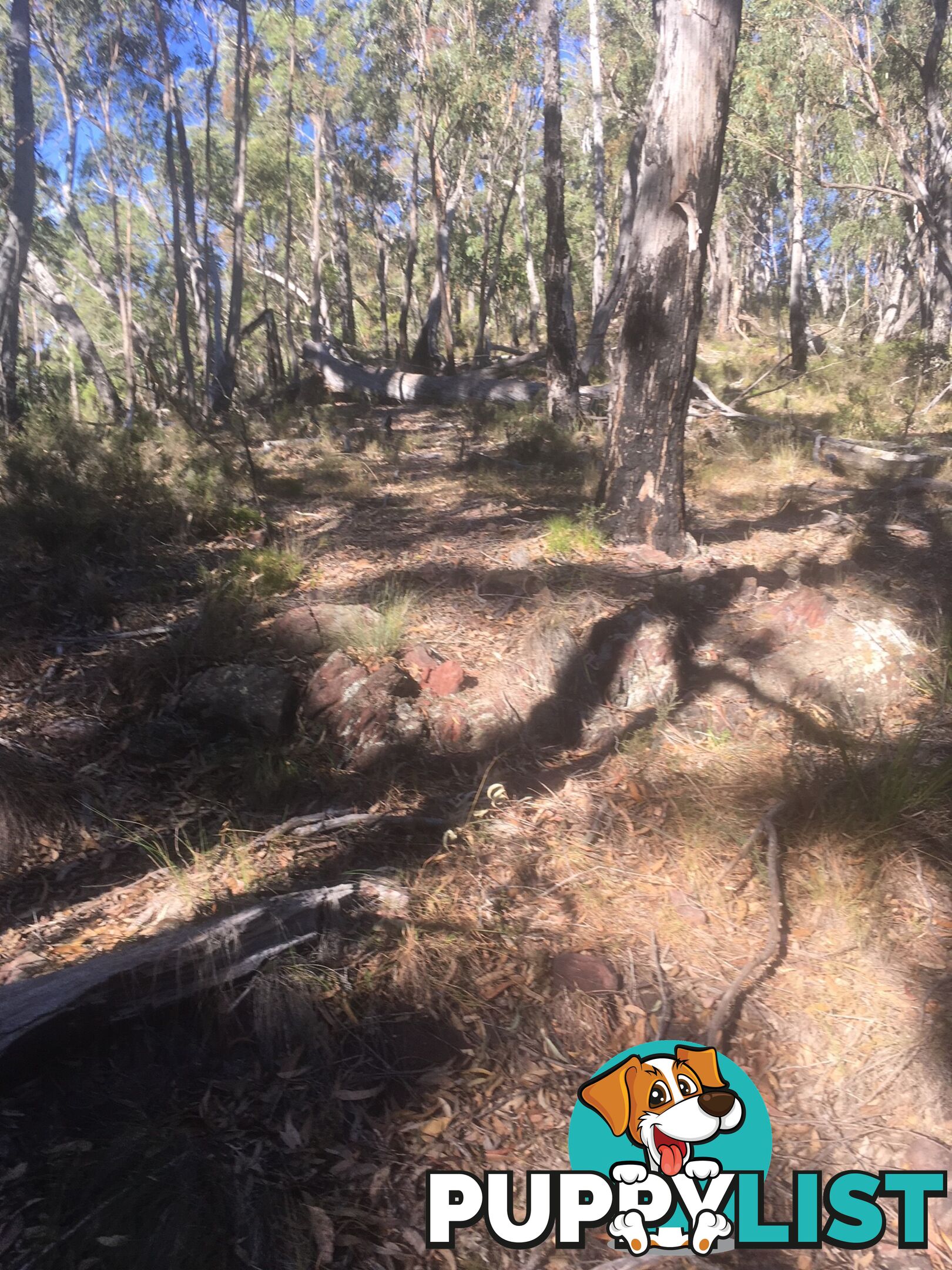 Lot 84 Reedy Creek Road EUROBODALLA NSW 2545