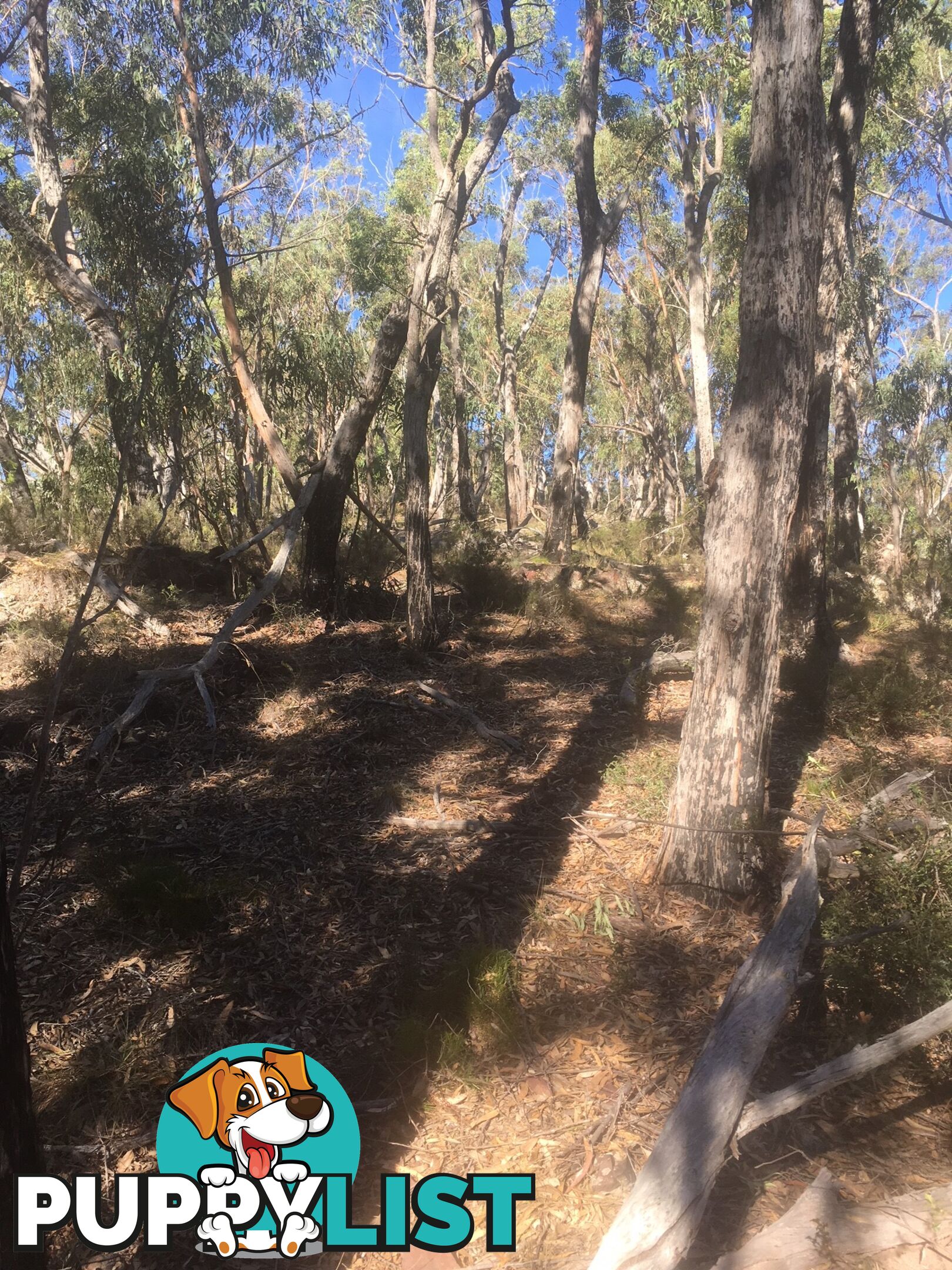 Lot 84 Reedy Creek Road EUROBODALLA NSW 2545