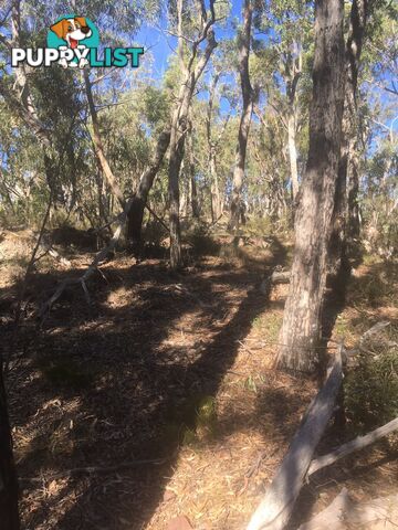 Lot 84 Reedy Creek Road EUROBODALLA NSW 2545