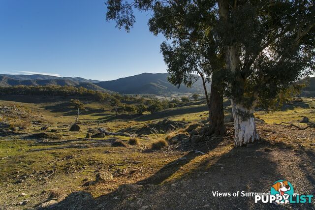 Lot 1 Caves Road WEE JASPER NSW 2582