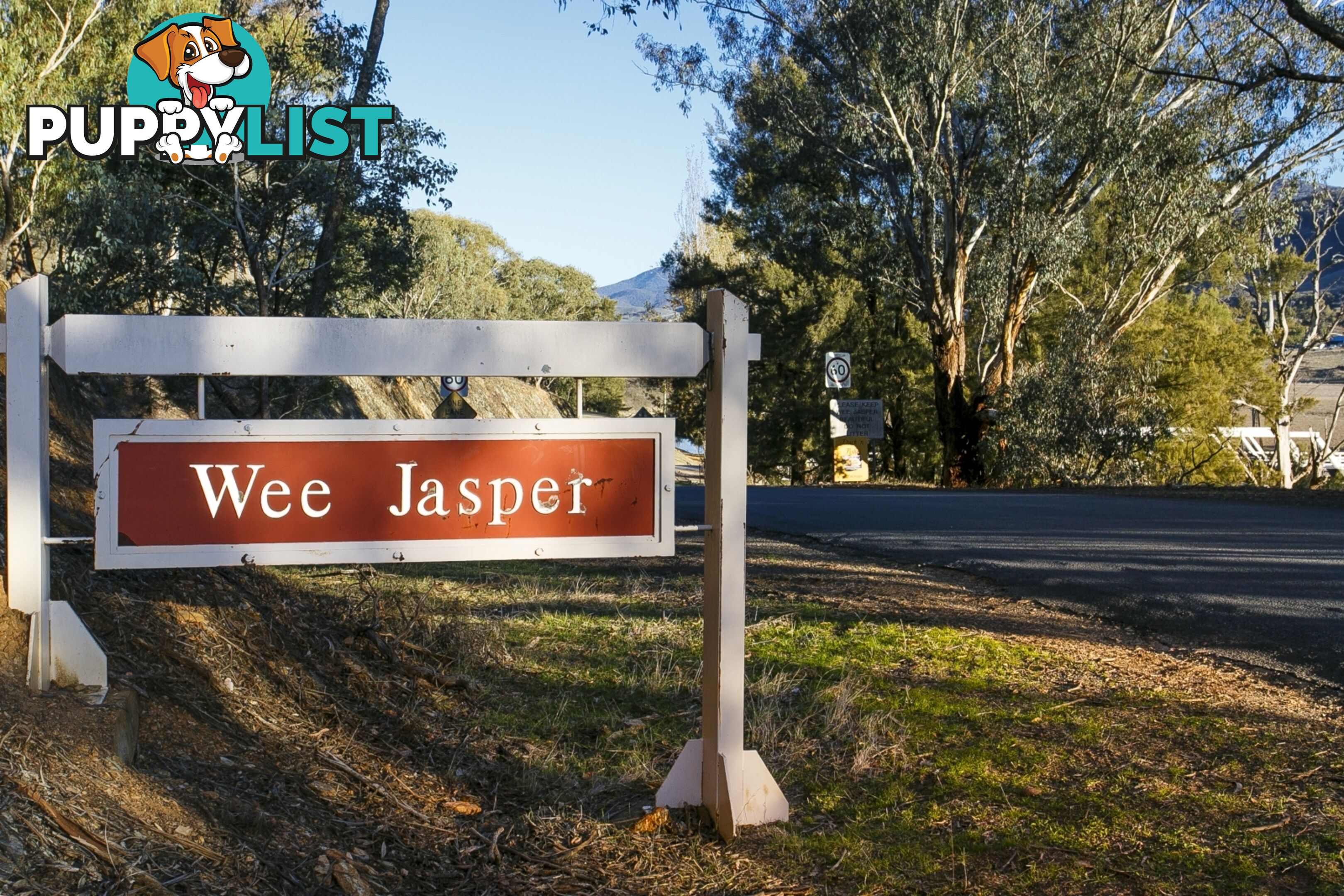 Lot 1 Caves Road WEE JASPER NSW 2582