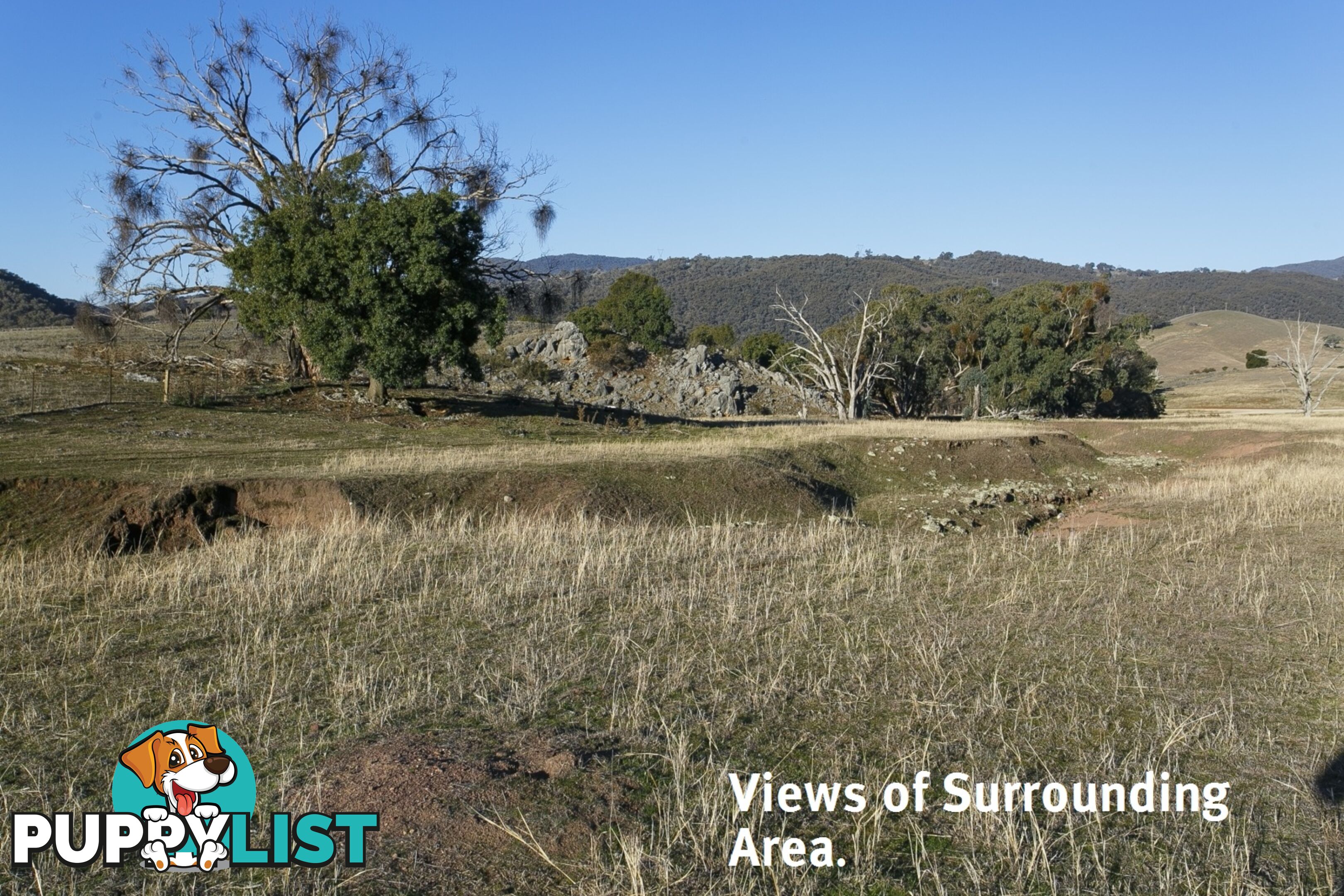 Lot 1 Caves Road WEE JASPER NSW 2582