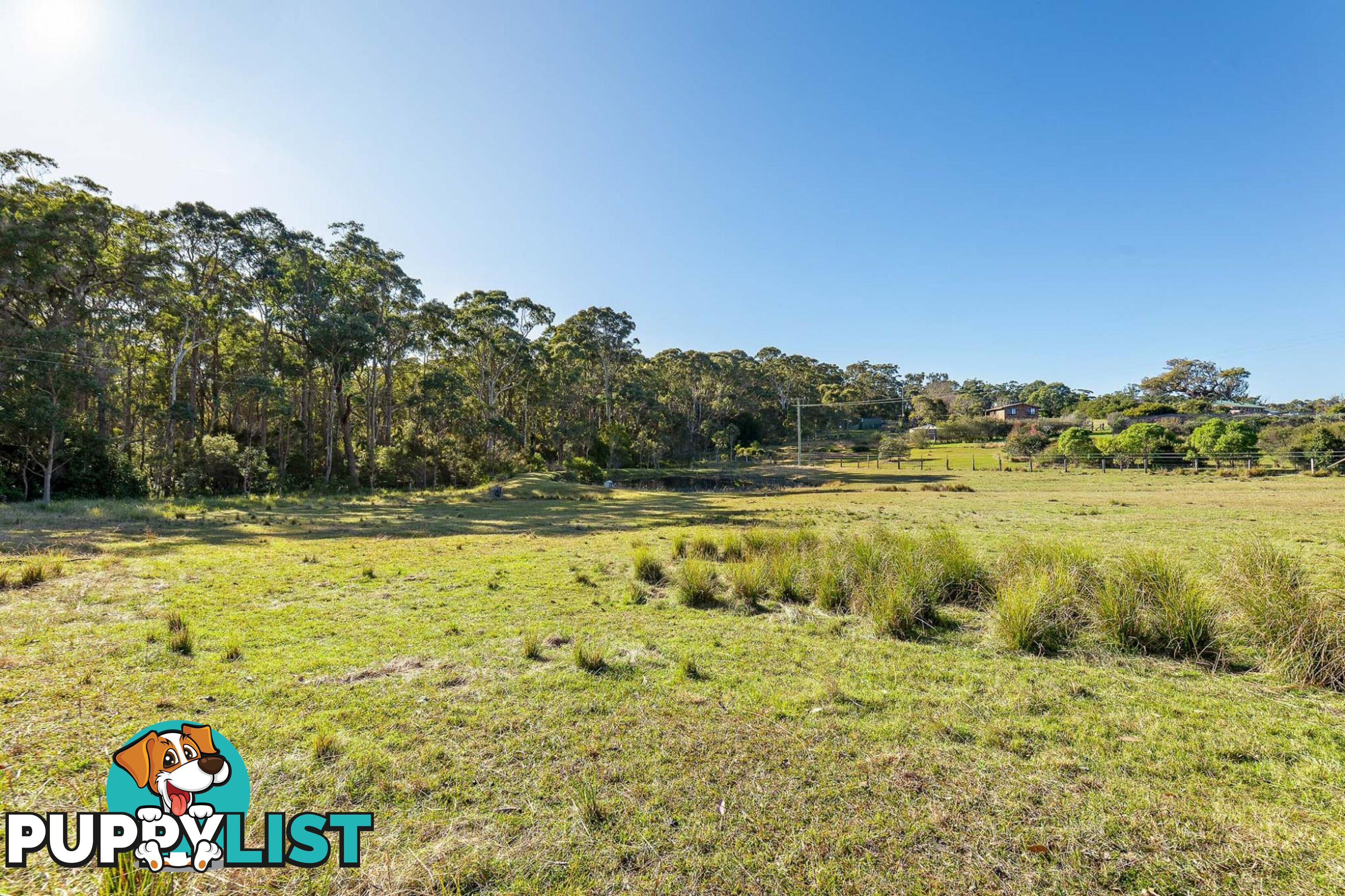 445 Bingie Road BINGIE NSW 2537