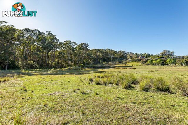 445 Bingie Road BINGIE NSW 2537