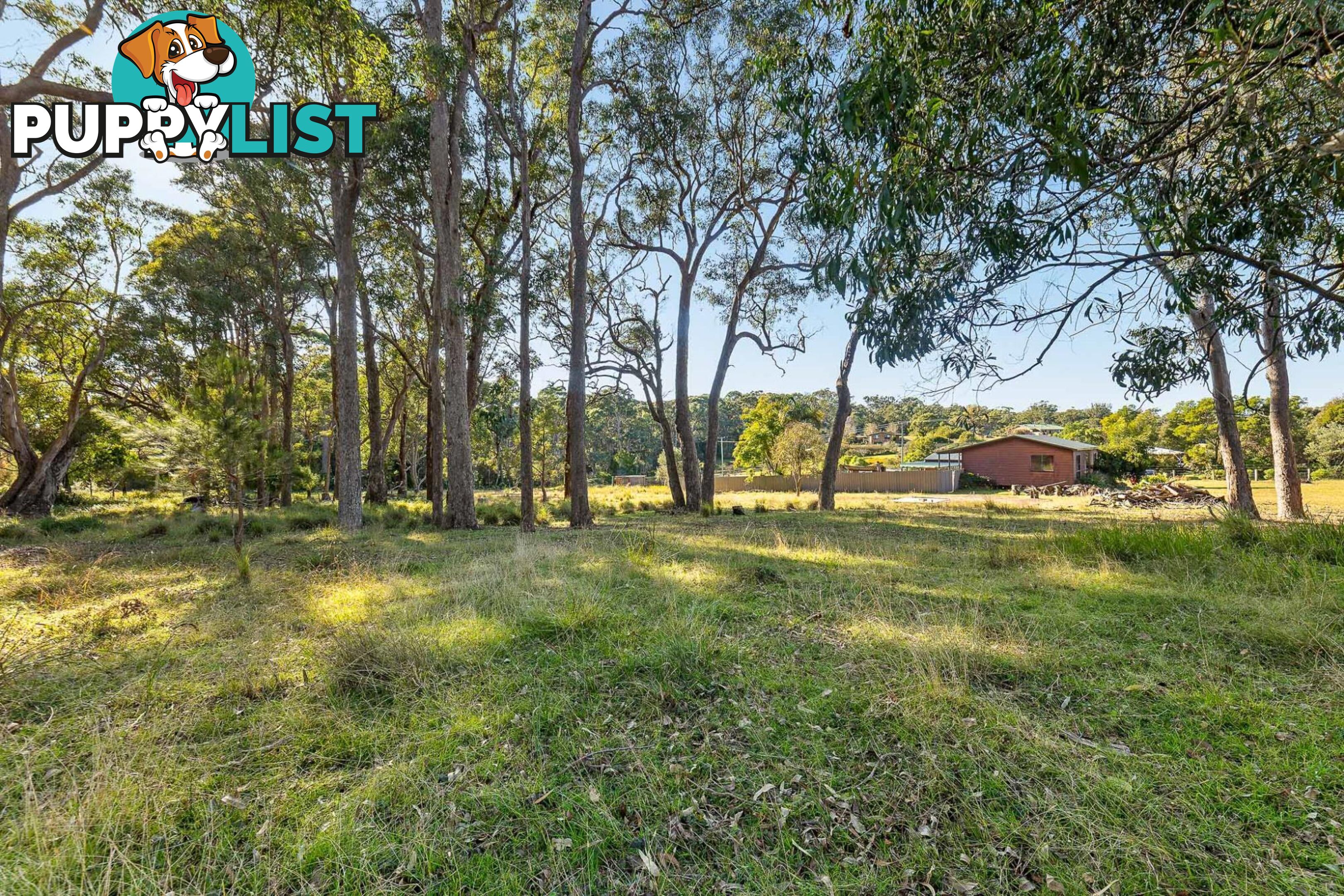 445 Bingie Road BINGIE NSW 2537