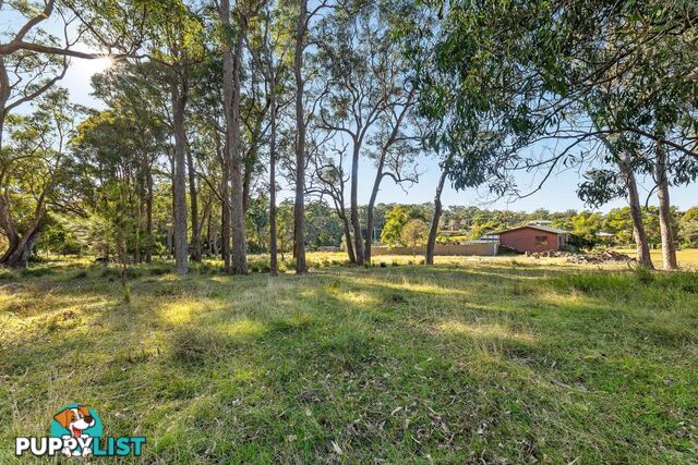 445 Bingie Road BINGIE NSW 2537