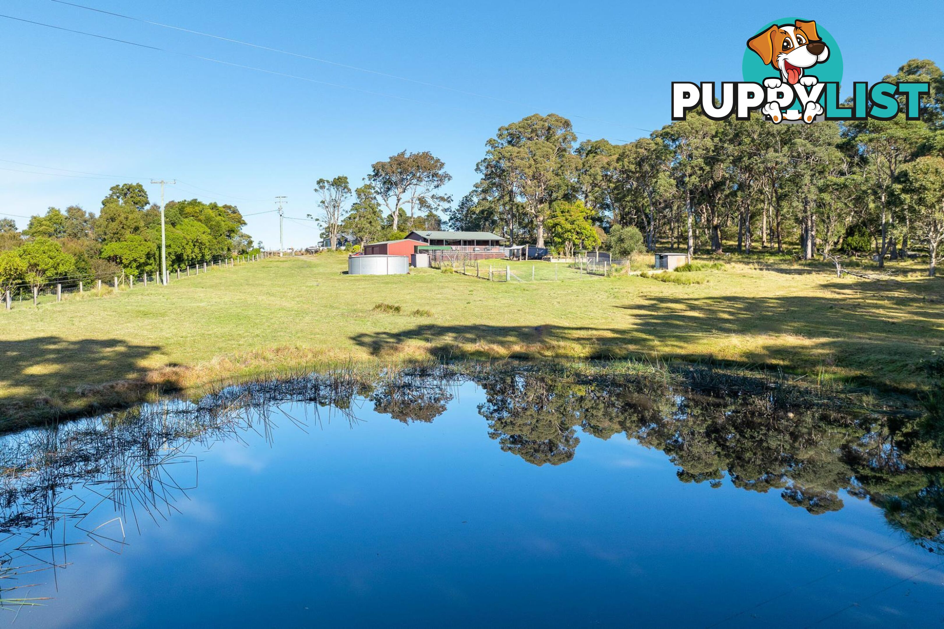 445 Bingie Road BINGIE NSW 2537