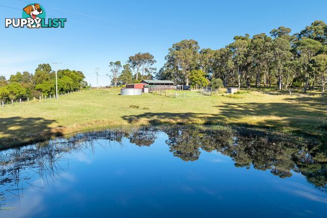 445 Bingie Road BINGIE NSW 2537