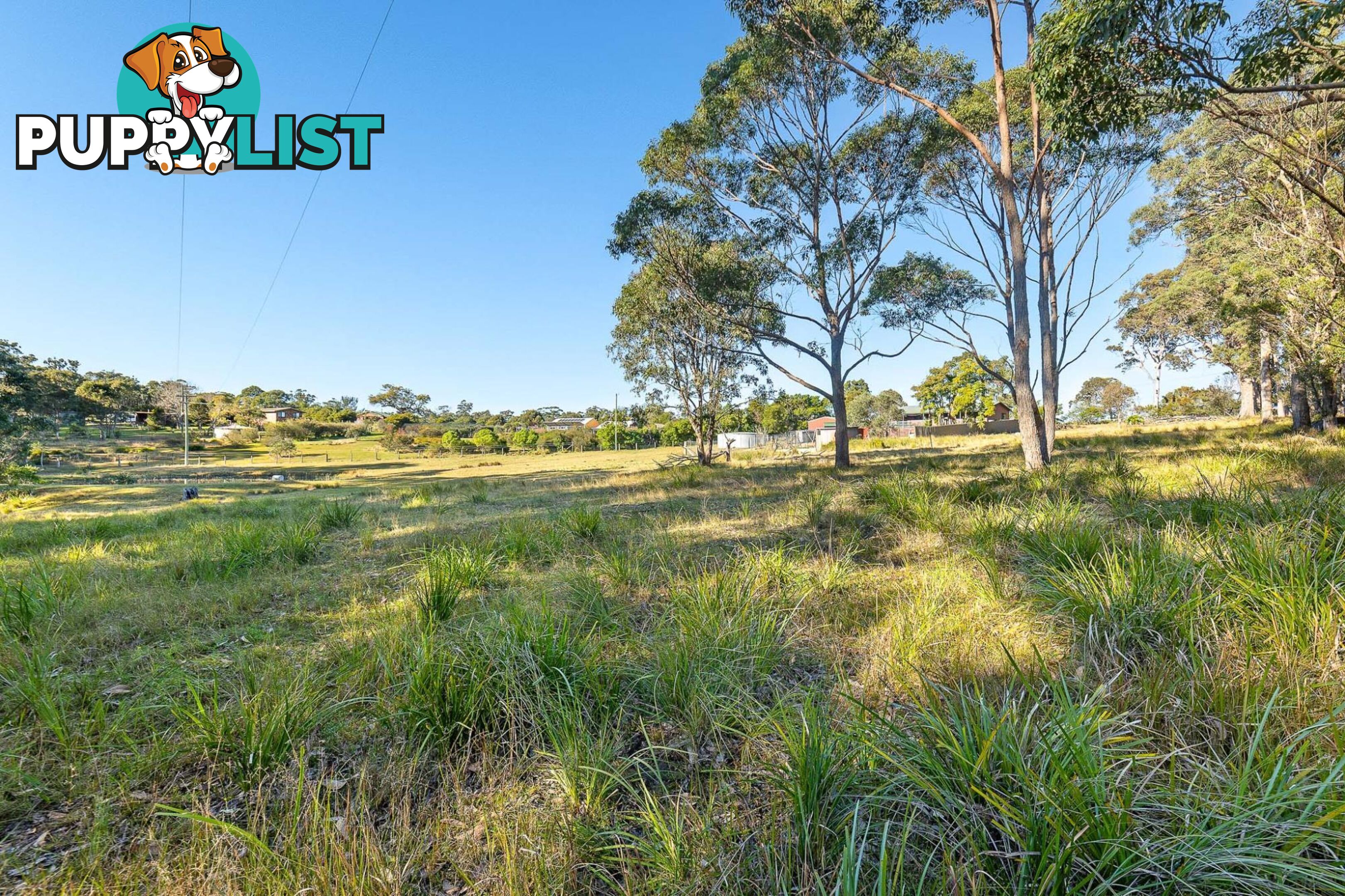 445 Bingie Road BINGIE NSW 2537