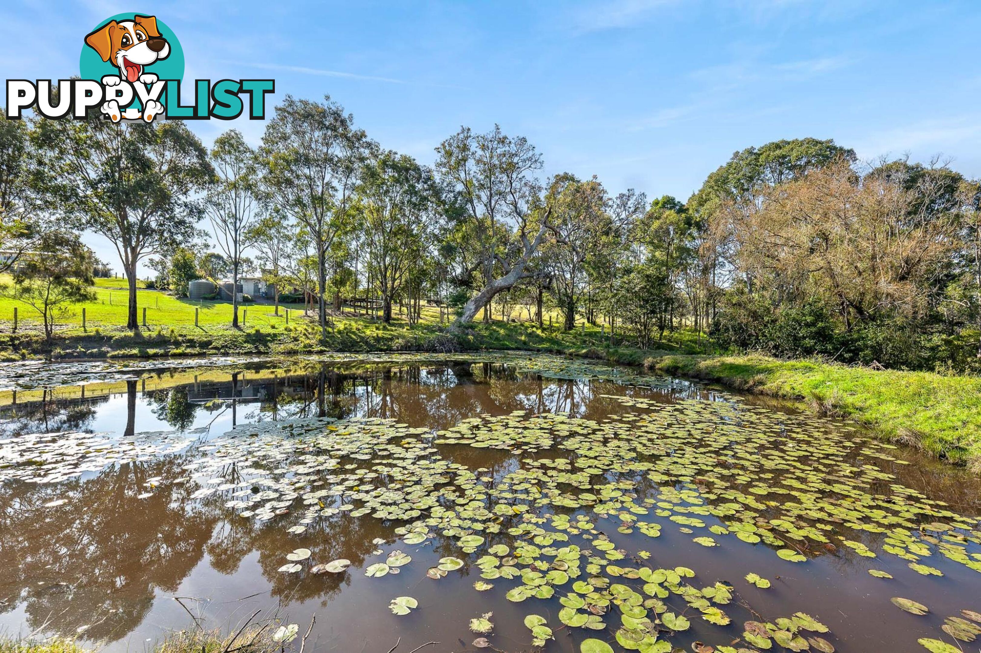 56 Mountain View Road MORUYA NSW 2537