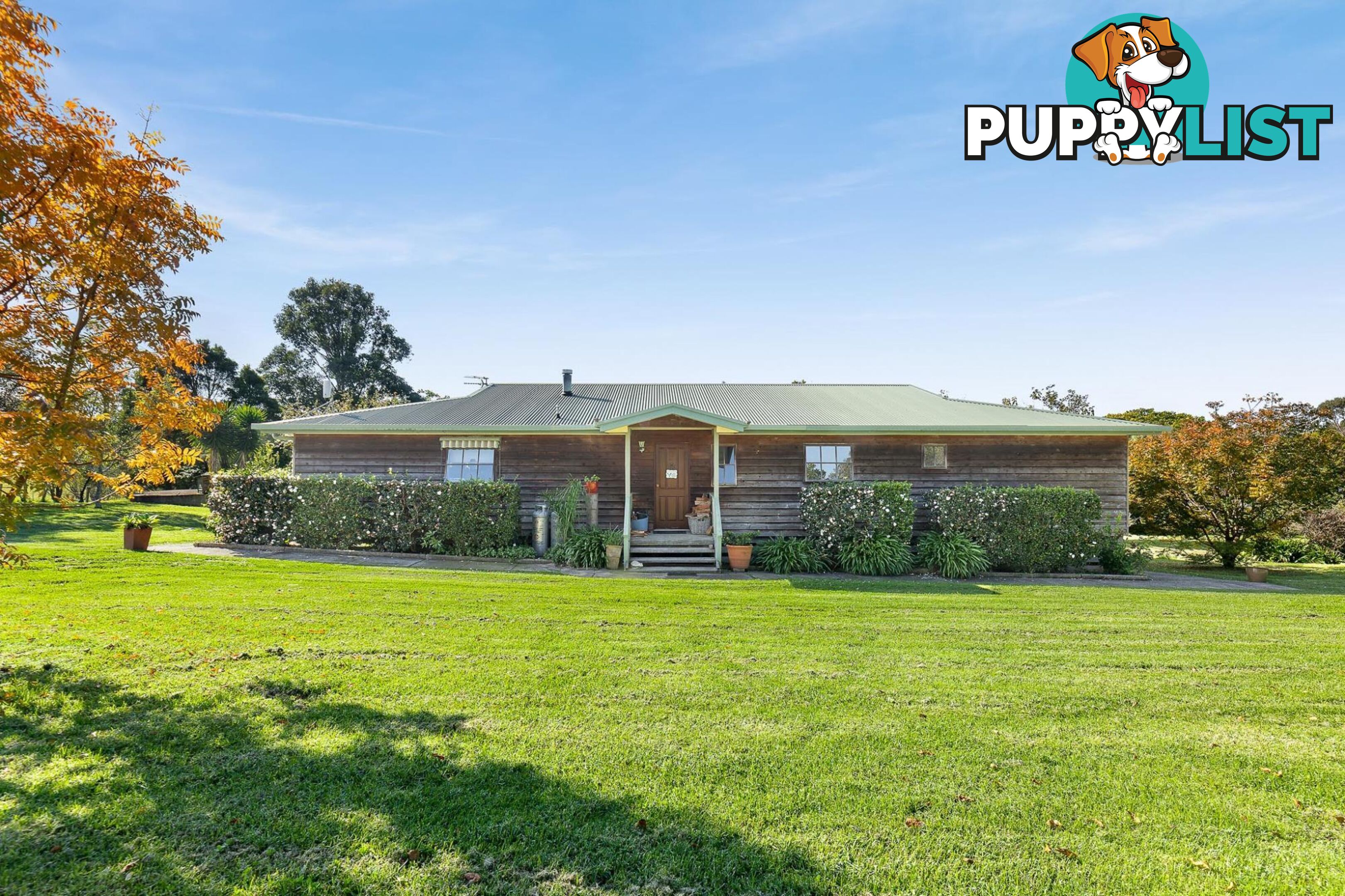 56 Mountain View Road MORUYA NSW 2537