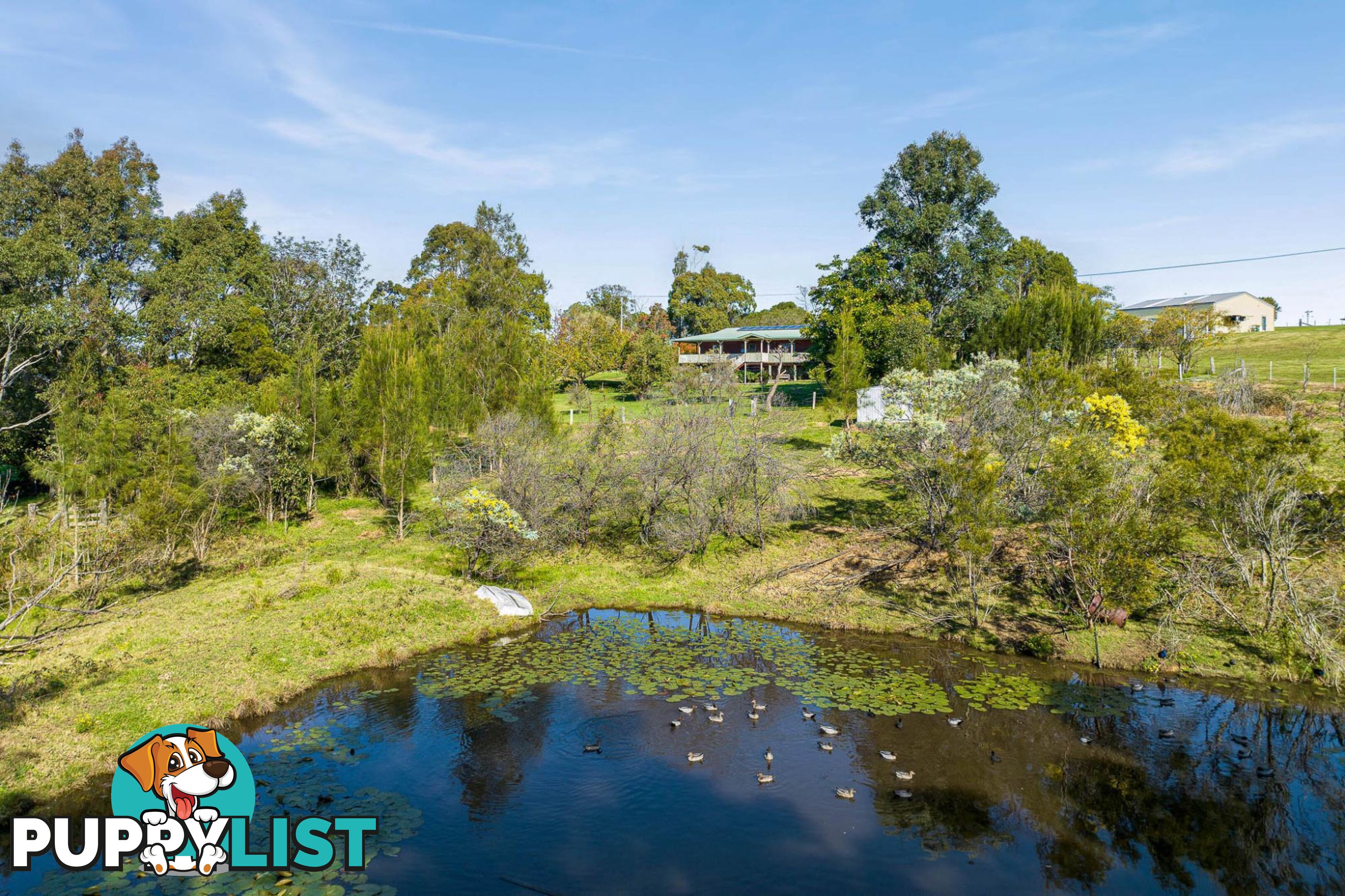 56 Mountain View Road MORUYA NSW 2537