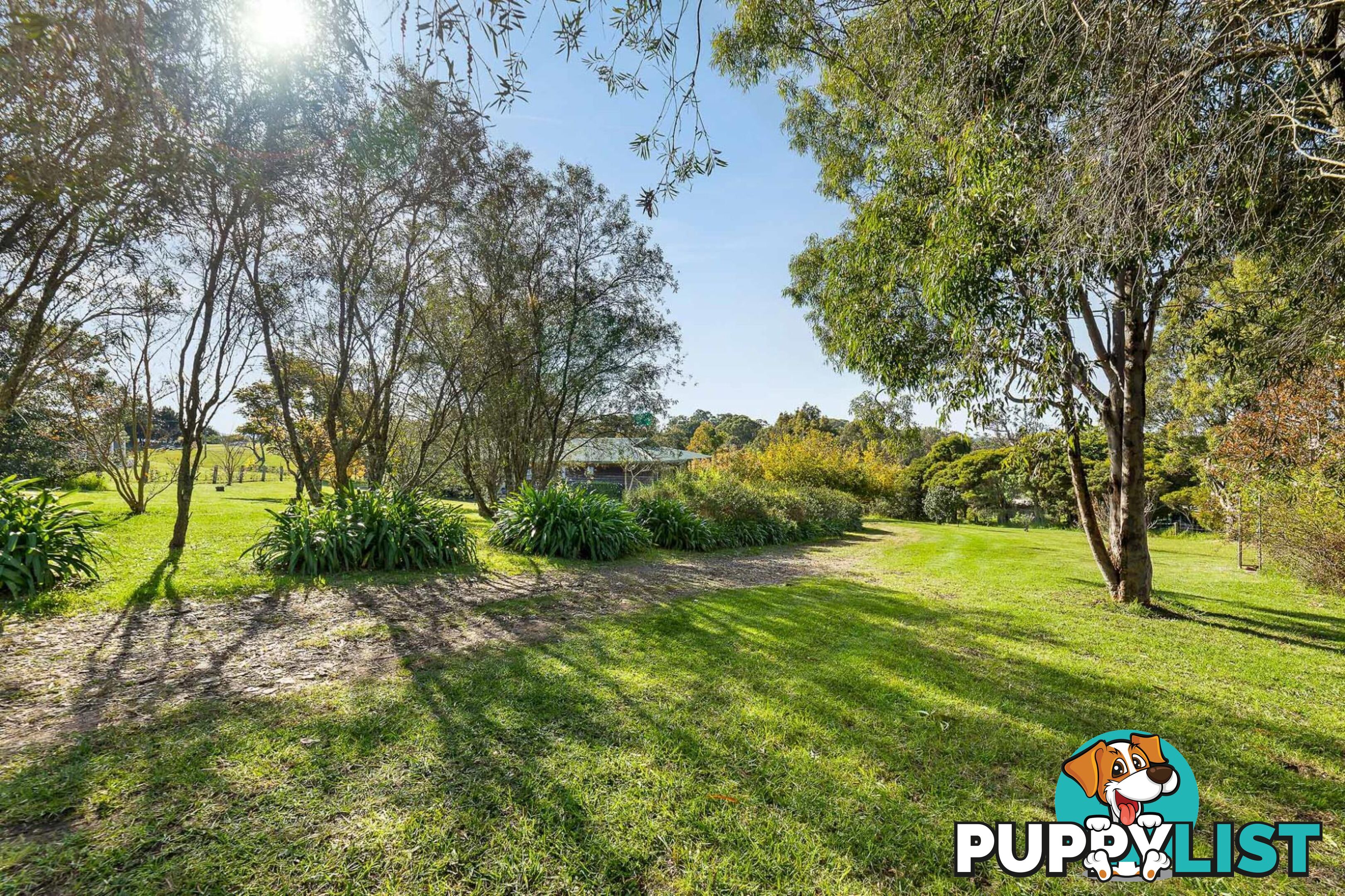 56 Mountain View Road MORUYA NSW 2537