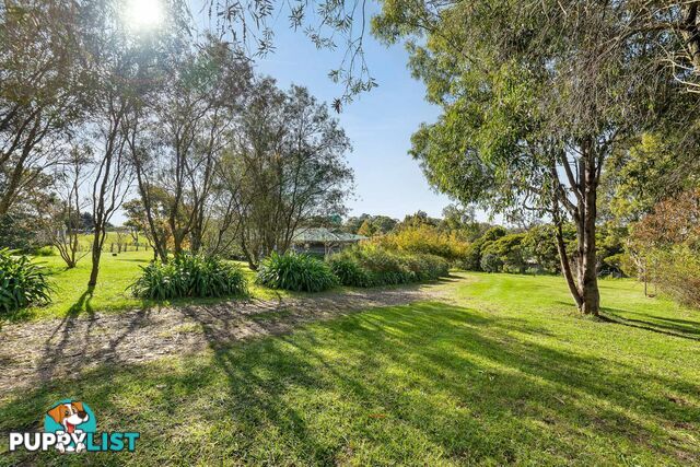 56 Mountain View Road MORUYA NSW 2537