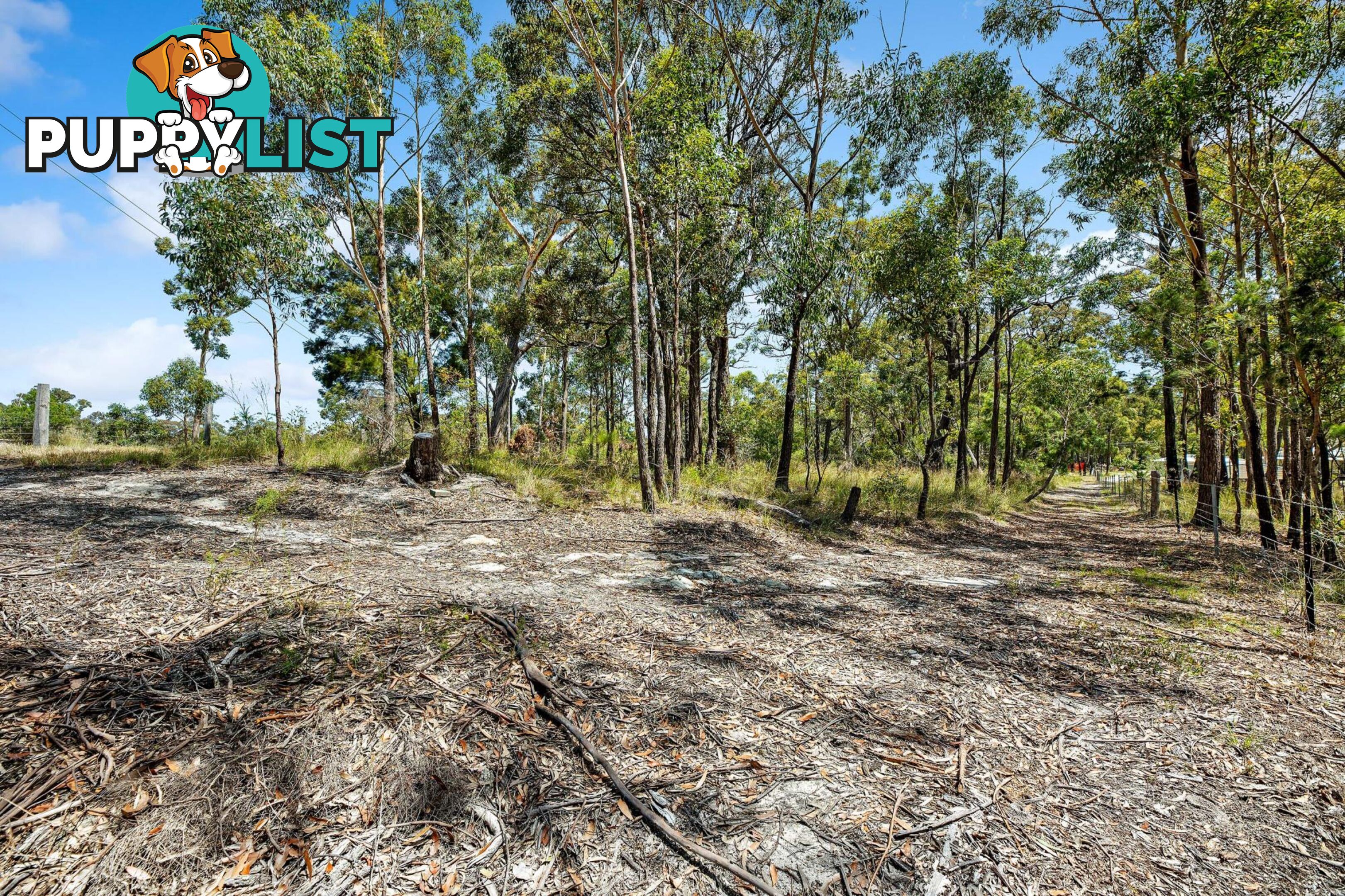 19 Collett Place MERINGO NSW 2537