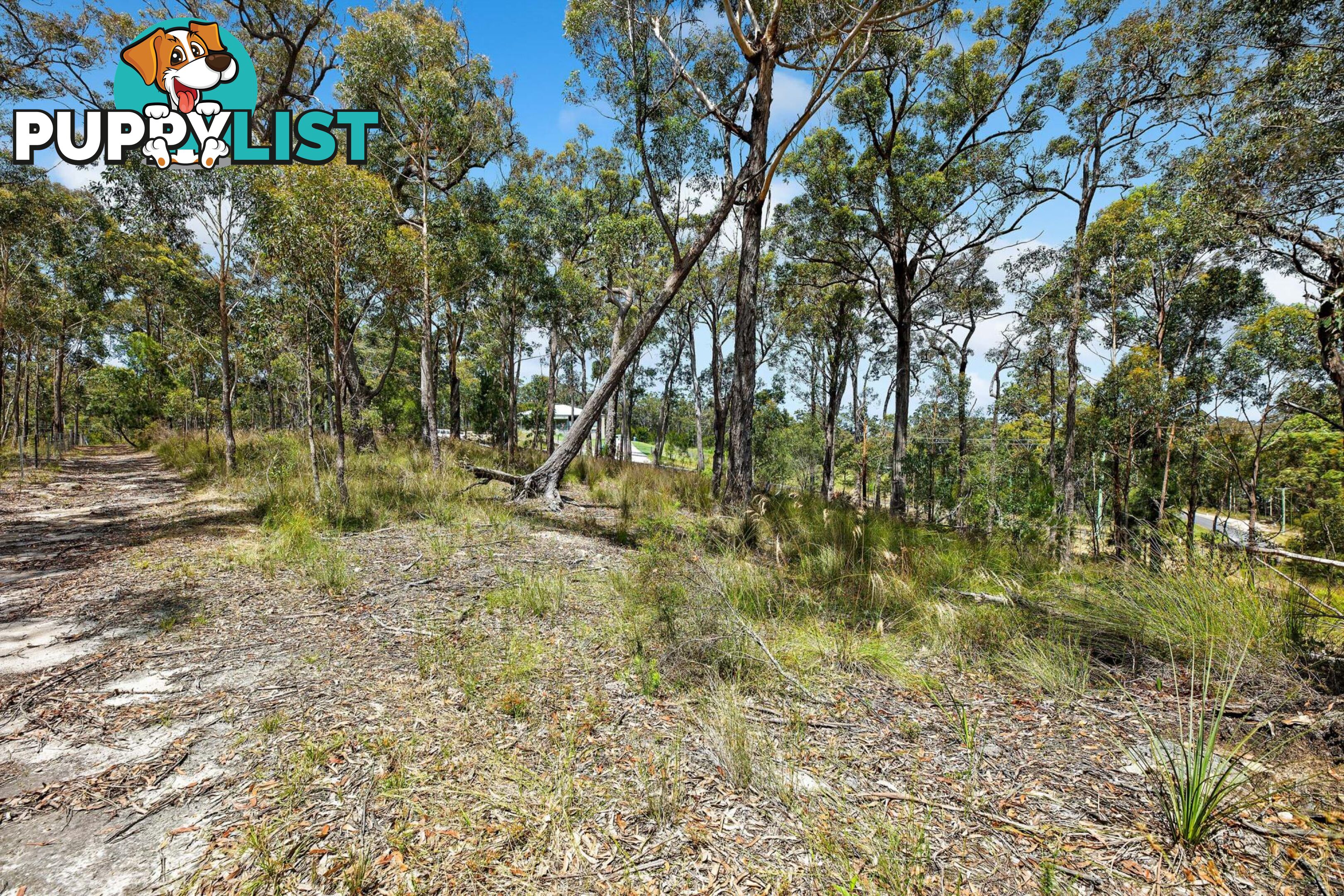 19 Collett Place MERINGO NSW 2537