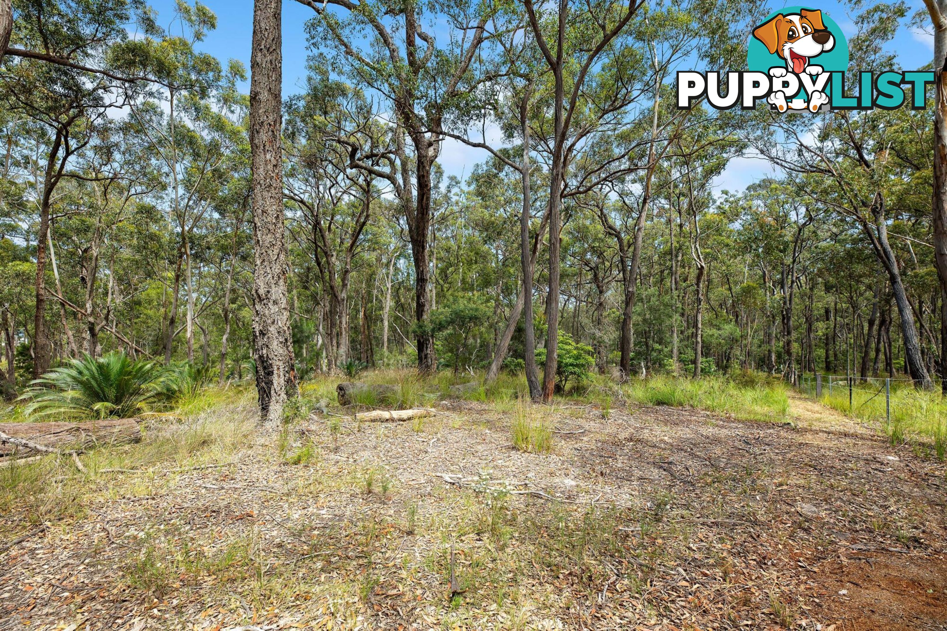 19 Collett Place MERINGO NSW 2537