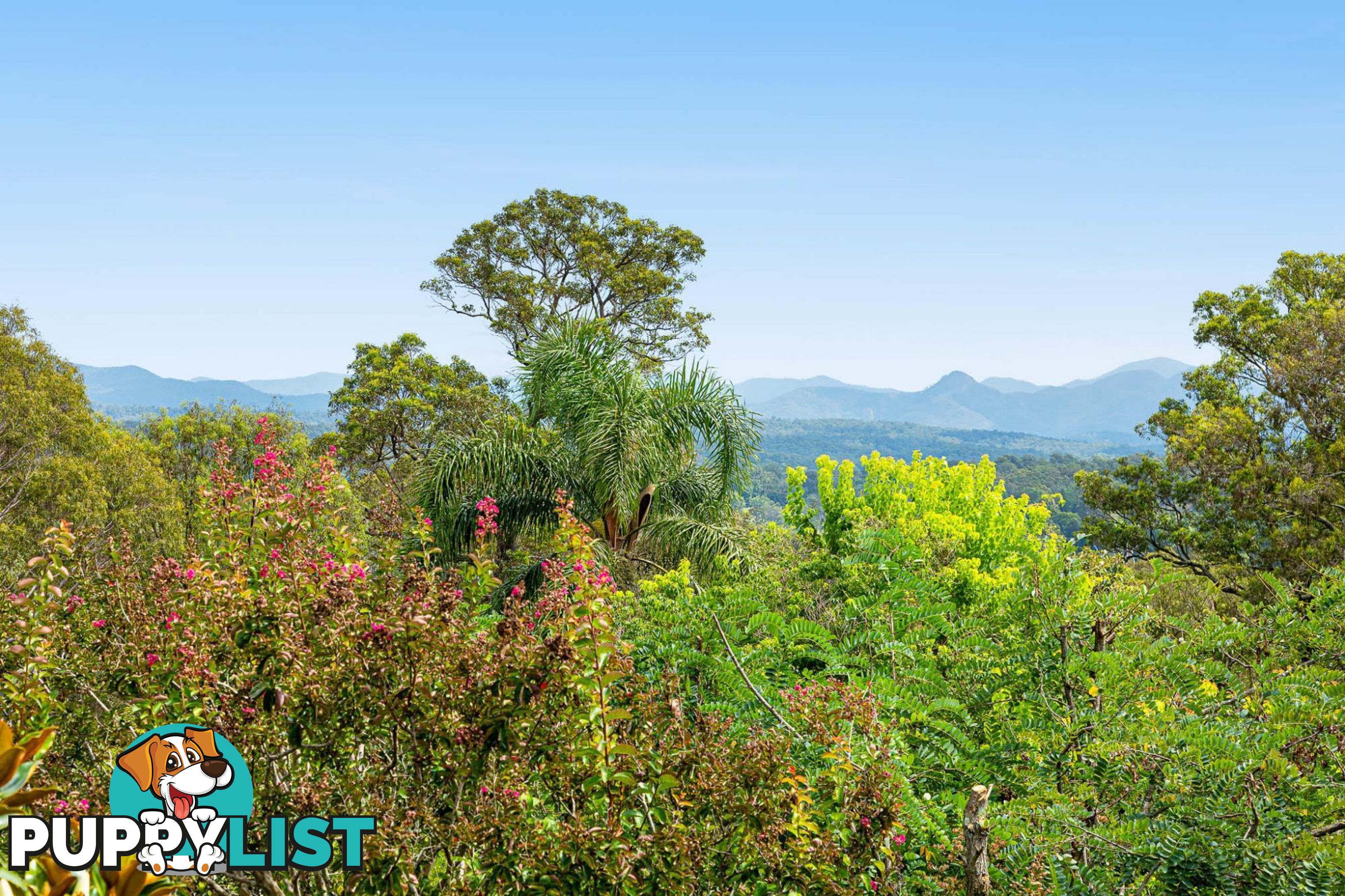 9 Wamban Road MORUYA NSW 2537
