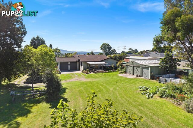 79 Murray Street MORUYA NSW 2537