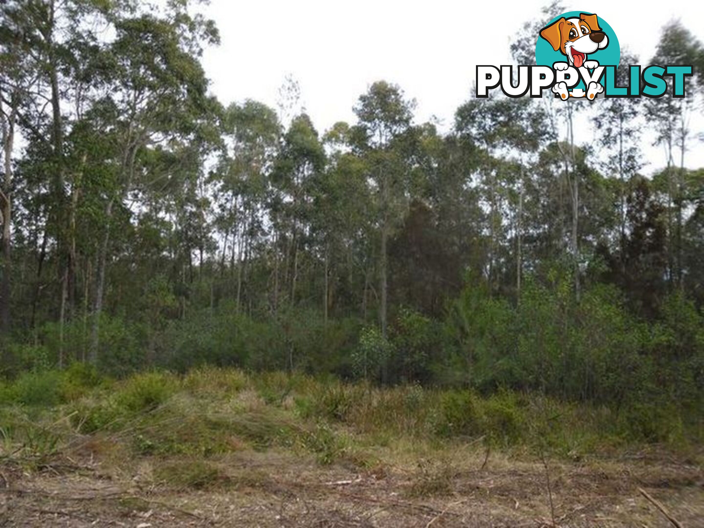 Lot 7 Malabar Drive MORUYA NSW 2537