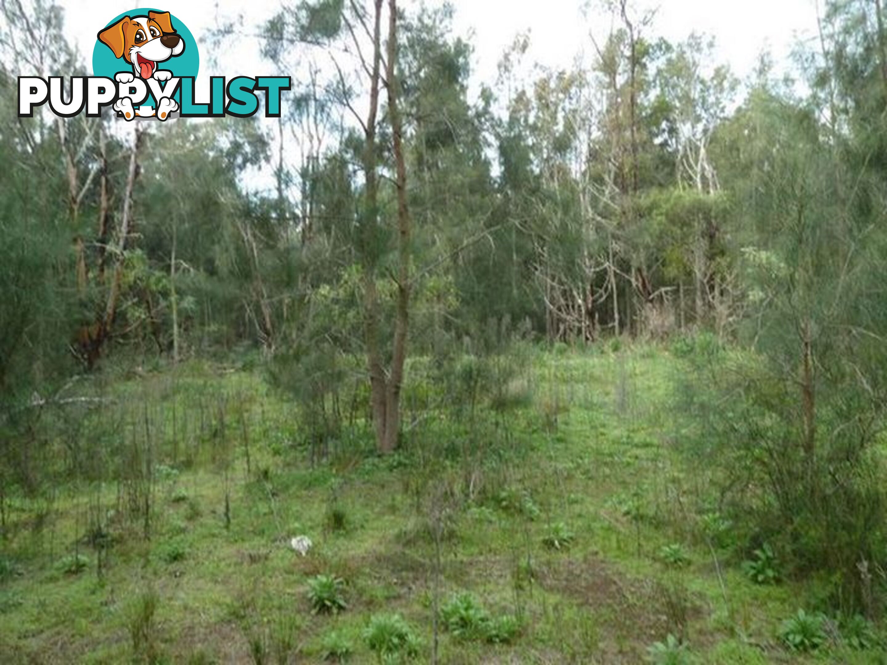 Lot 7 Malabar Drive MORUYA NSW 2537