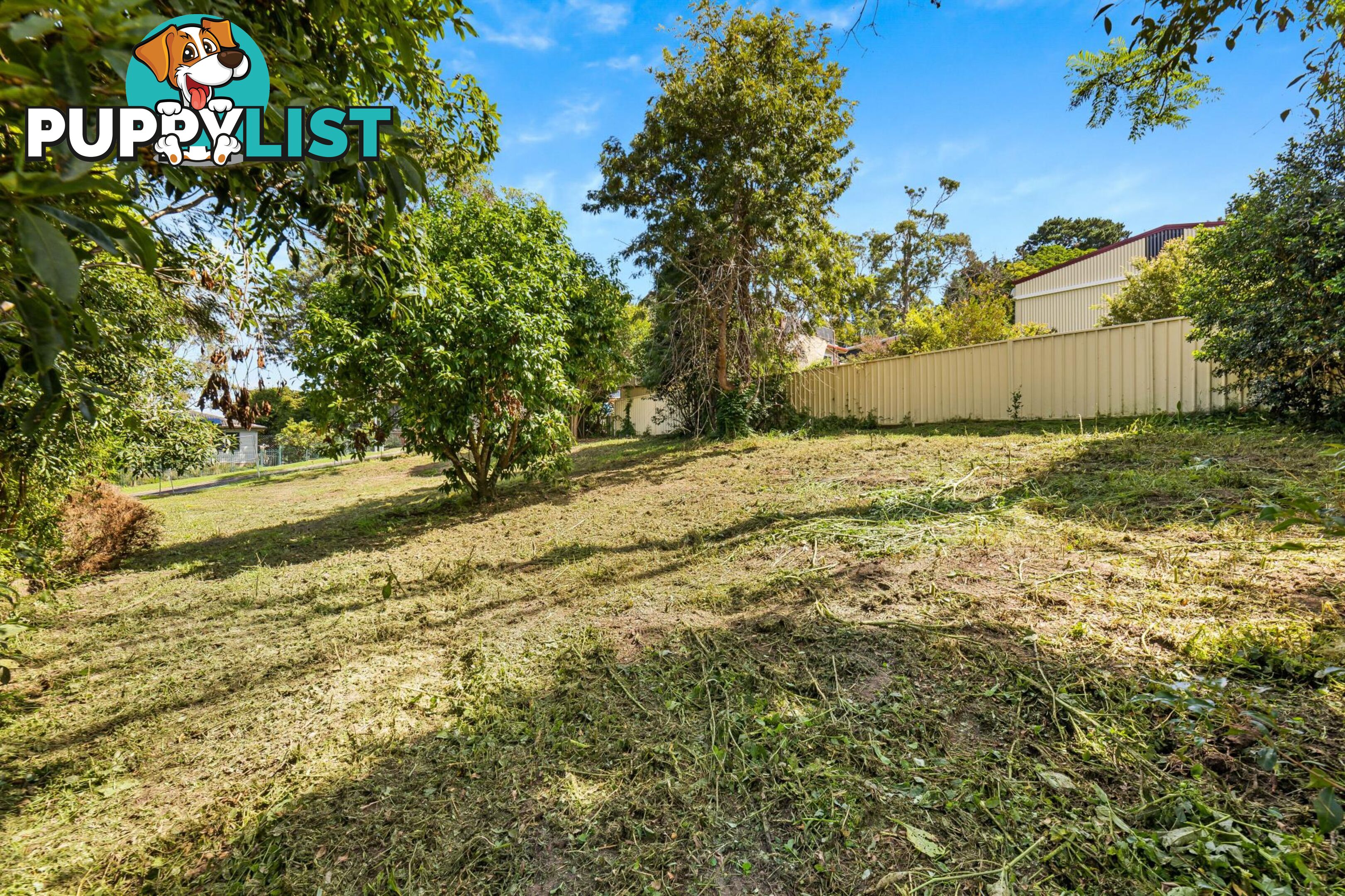 4 Jeffery Place MORUYA NSW 2537