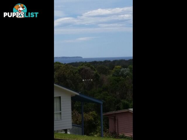 3 Dell Parade MORUYA HEADS NSW 2537