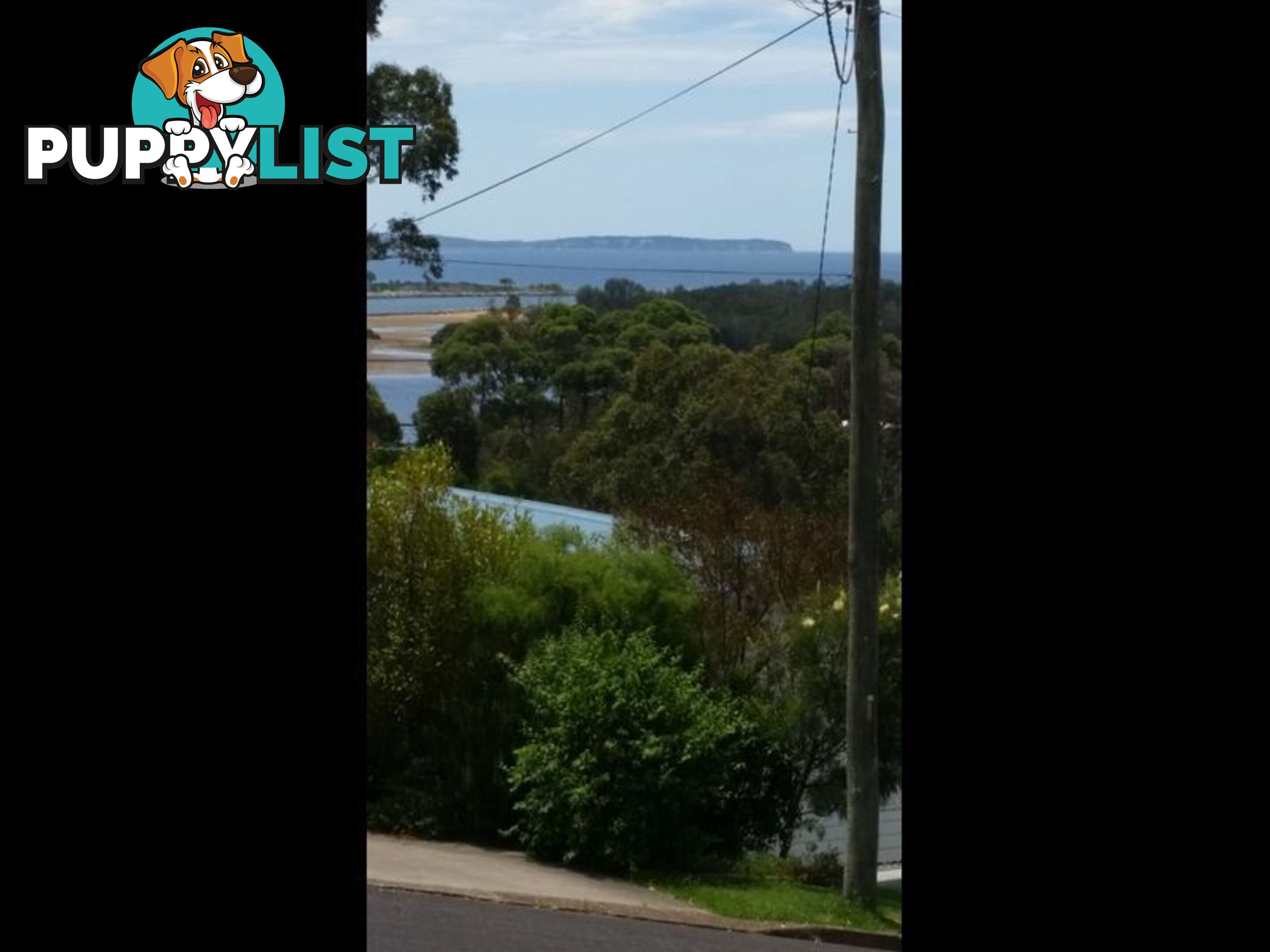 3 Dell Parade MORUYA HEADS NSW 2537