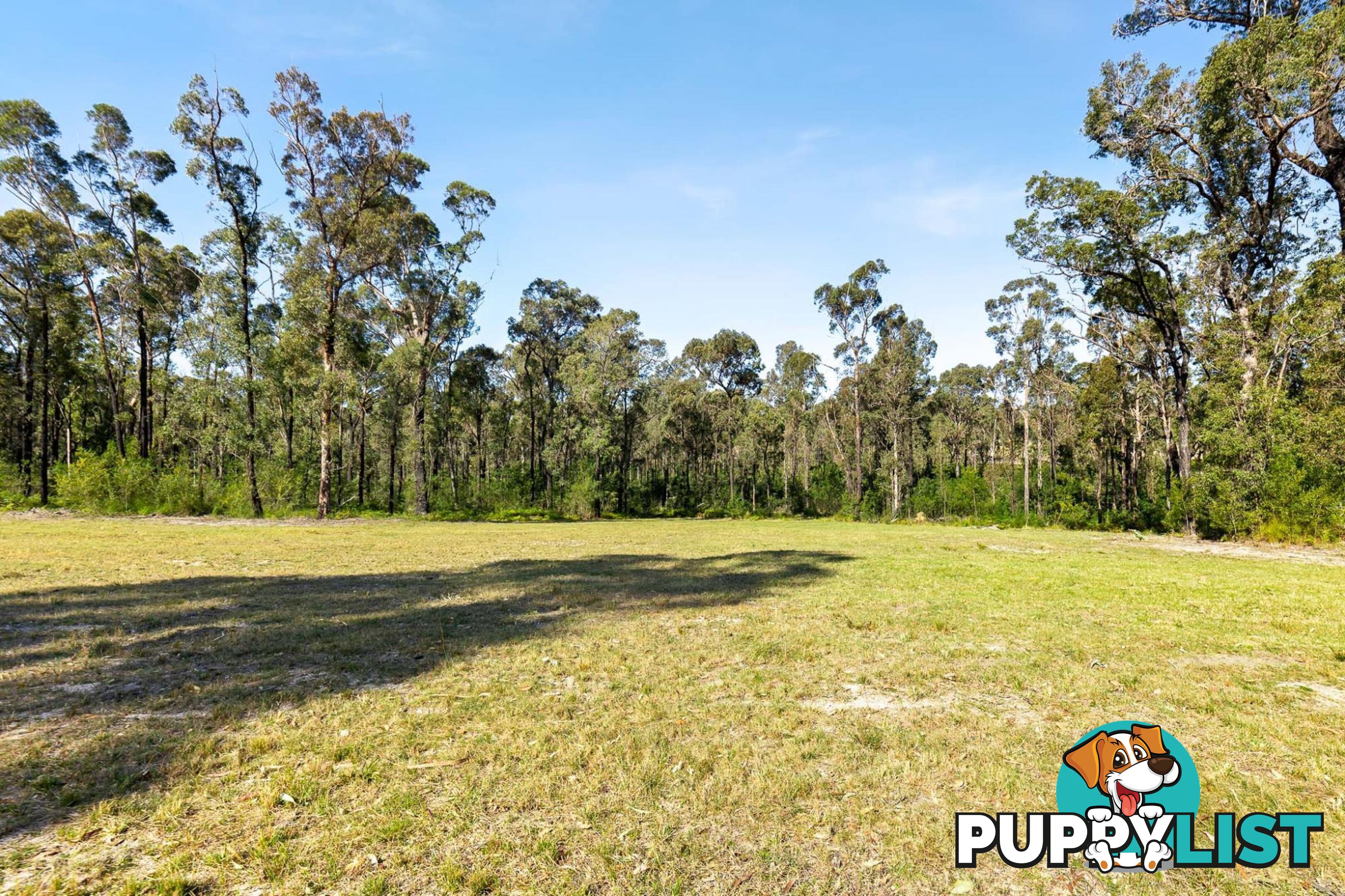 177 Goldfields Drive JEREMADRA NSW 2536