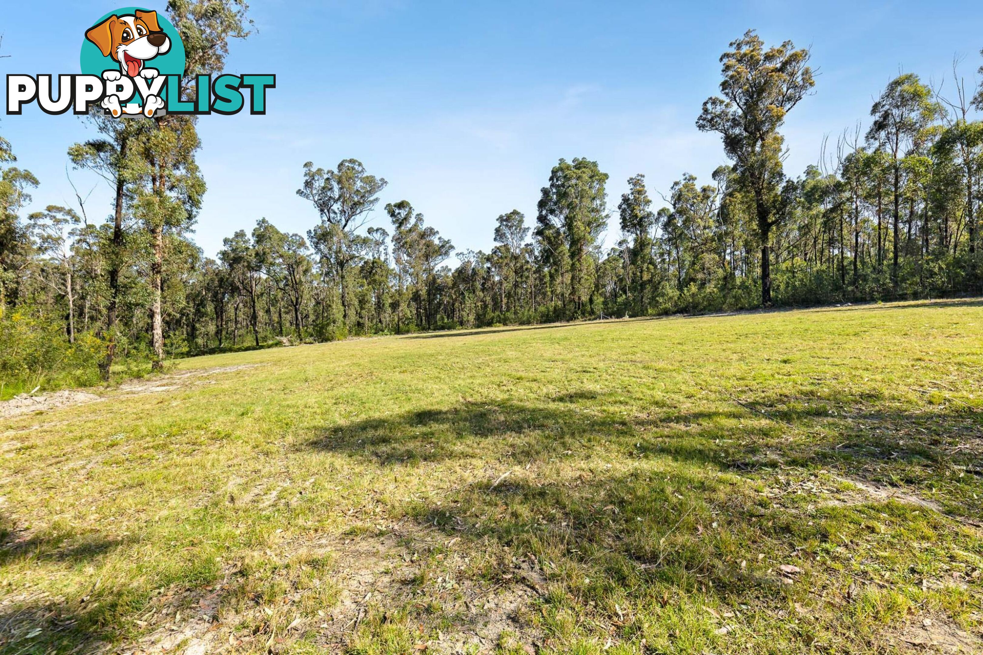 177 Goldfields Drive JEREMADRA NSW 2536