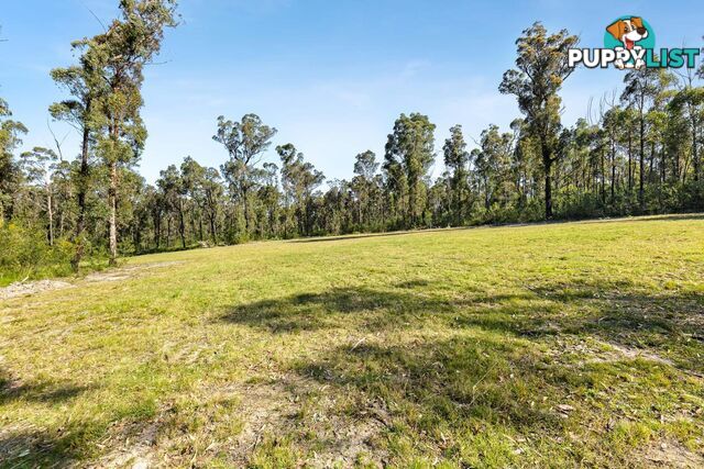 177 Goldfields Drive JEREMADRA NSW 2536