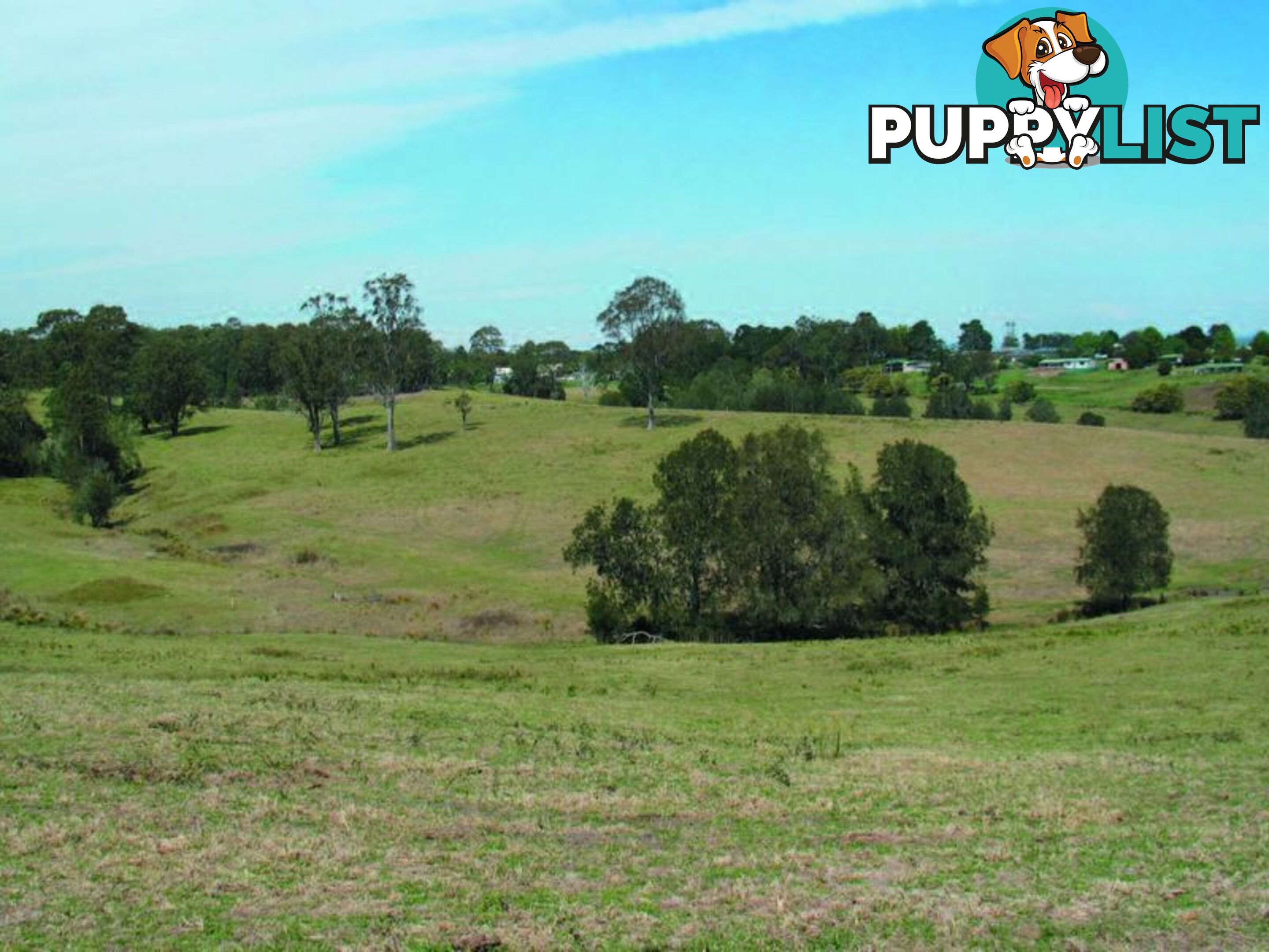 1 Gannons Point Road Long Paddock BODALLA NSW 2545