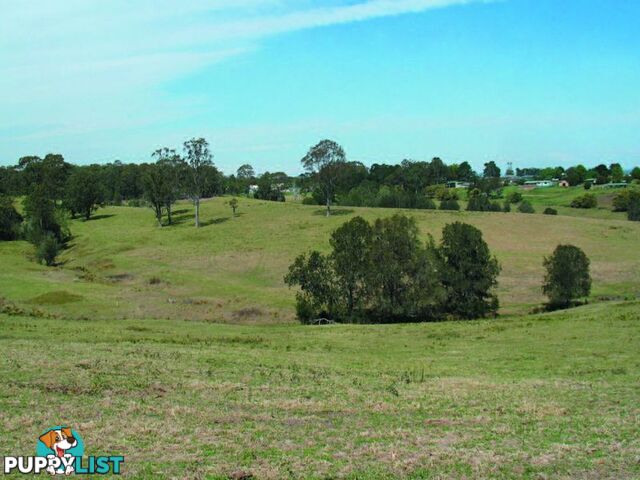 1 Gannons Point Road Long Paddock BODALLA NSW 2545