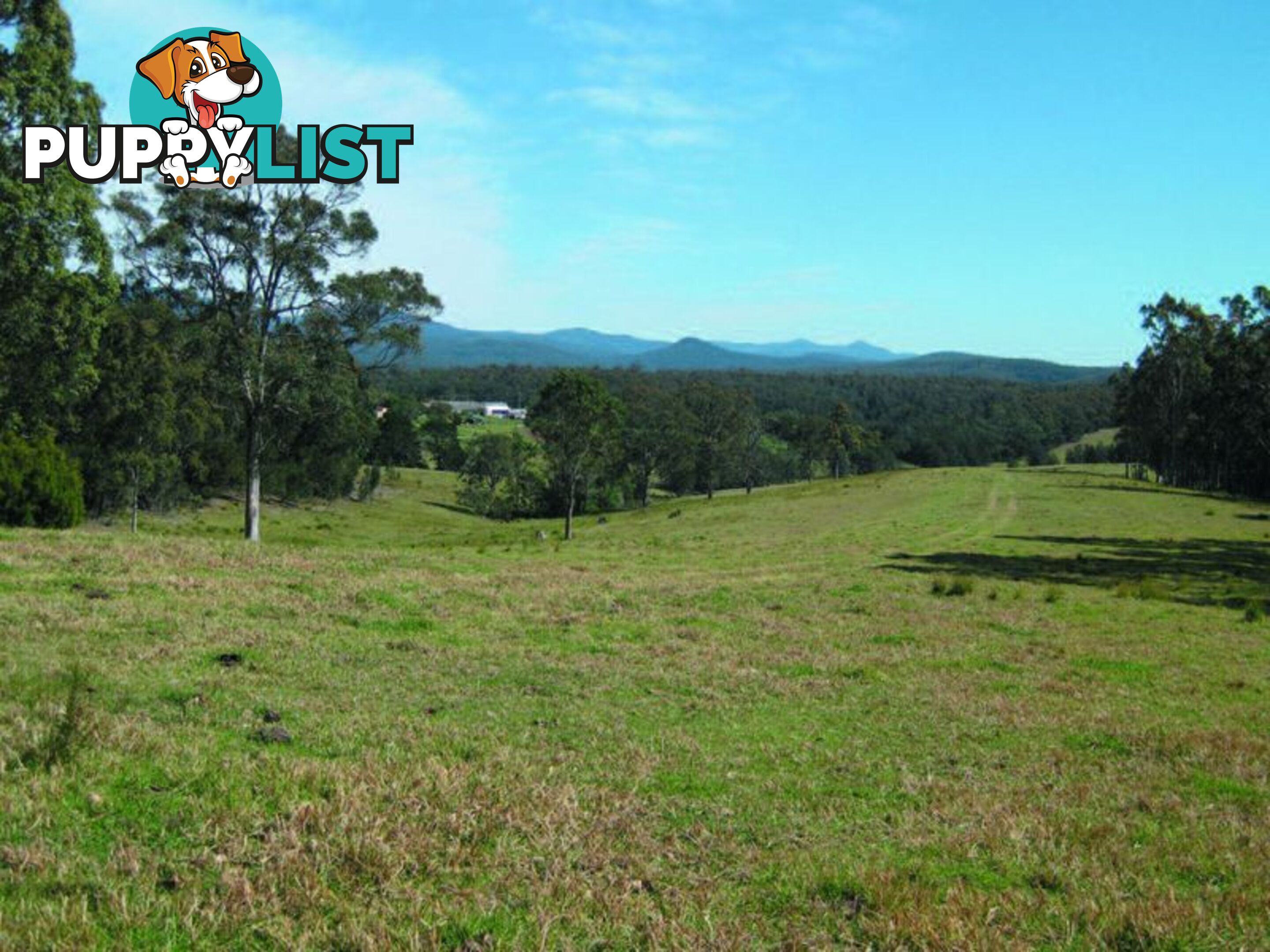 1 Gannons Point Road Long Paddock BODALLA NSW 2545