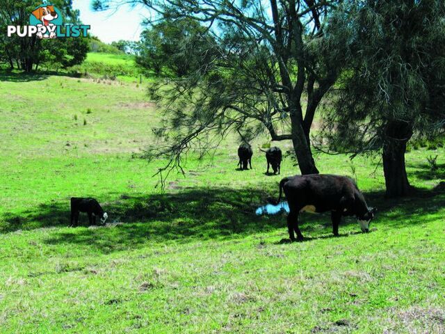 1 Gannons Point Road Long Paddock BODALLA NSW 2545