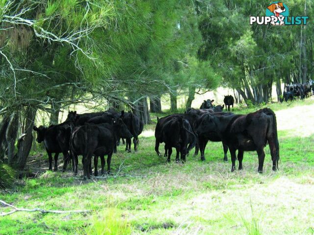 1 Gannons Point Road Long Paddock BODALLA NSW 2545