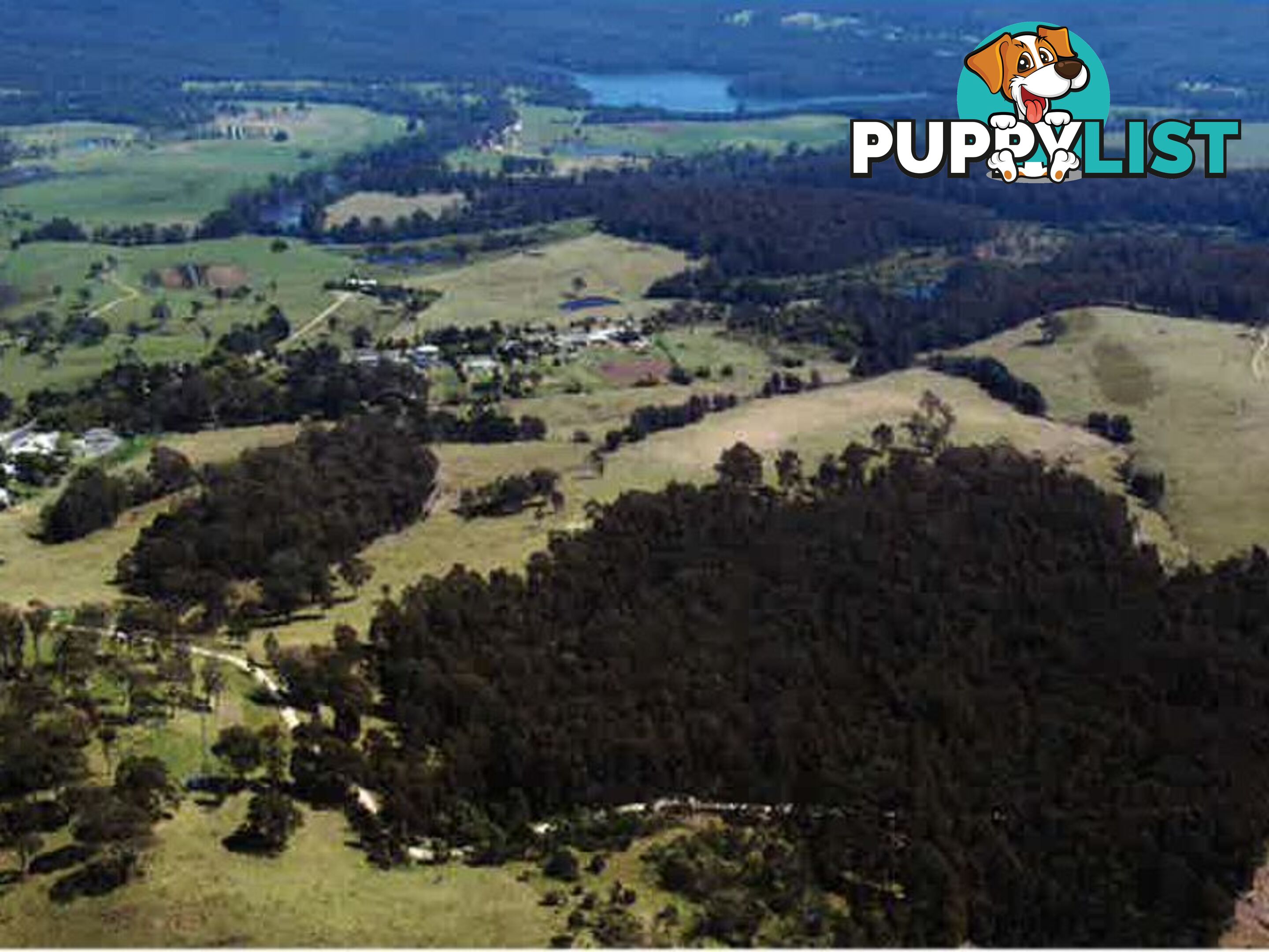 1 Gannons Point Road Long Paddock BODALLA NSW 2545