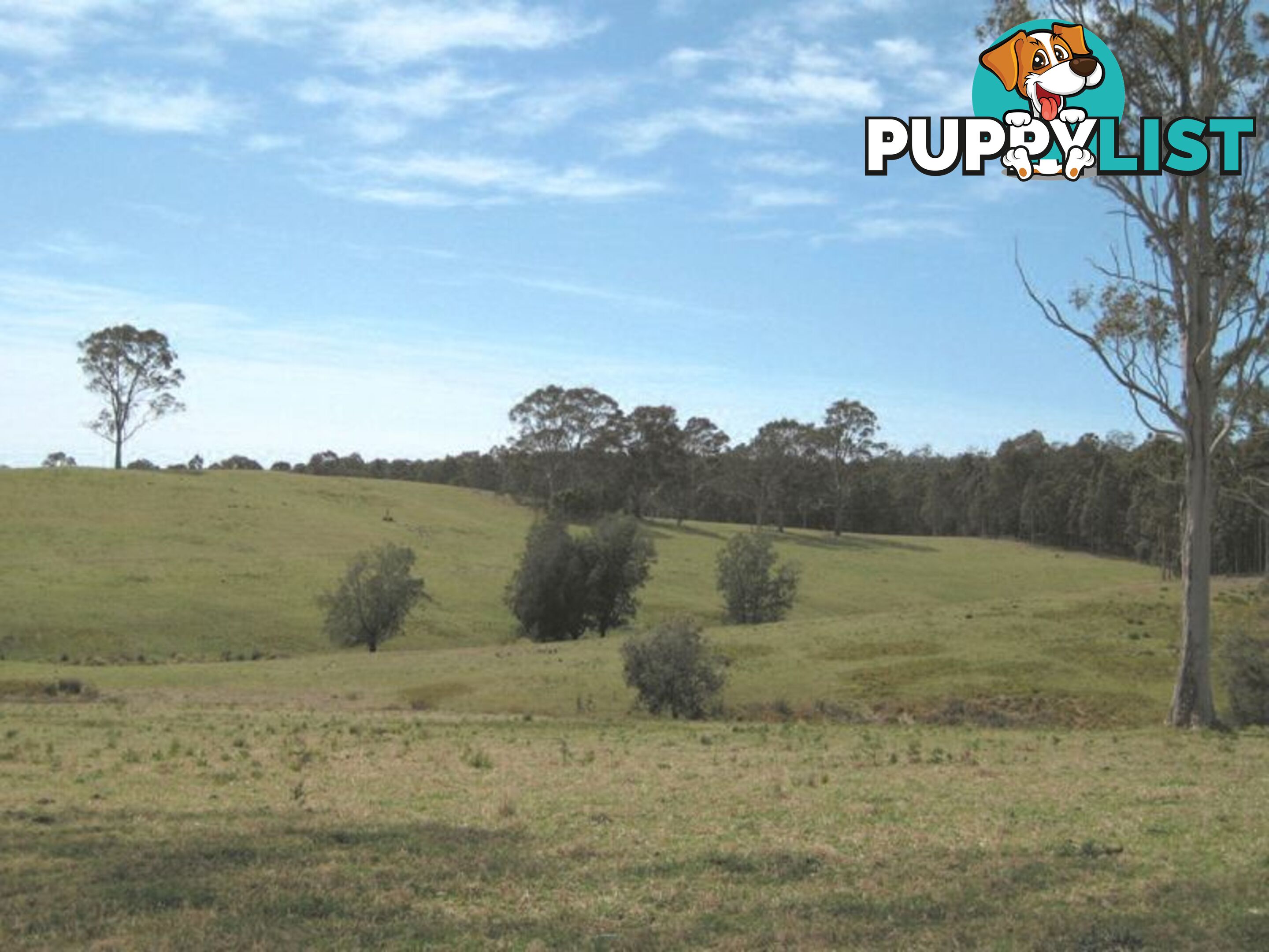 1 Gannons Point Road Long Paddock BODALLA NSW 2545